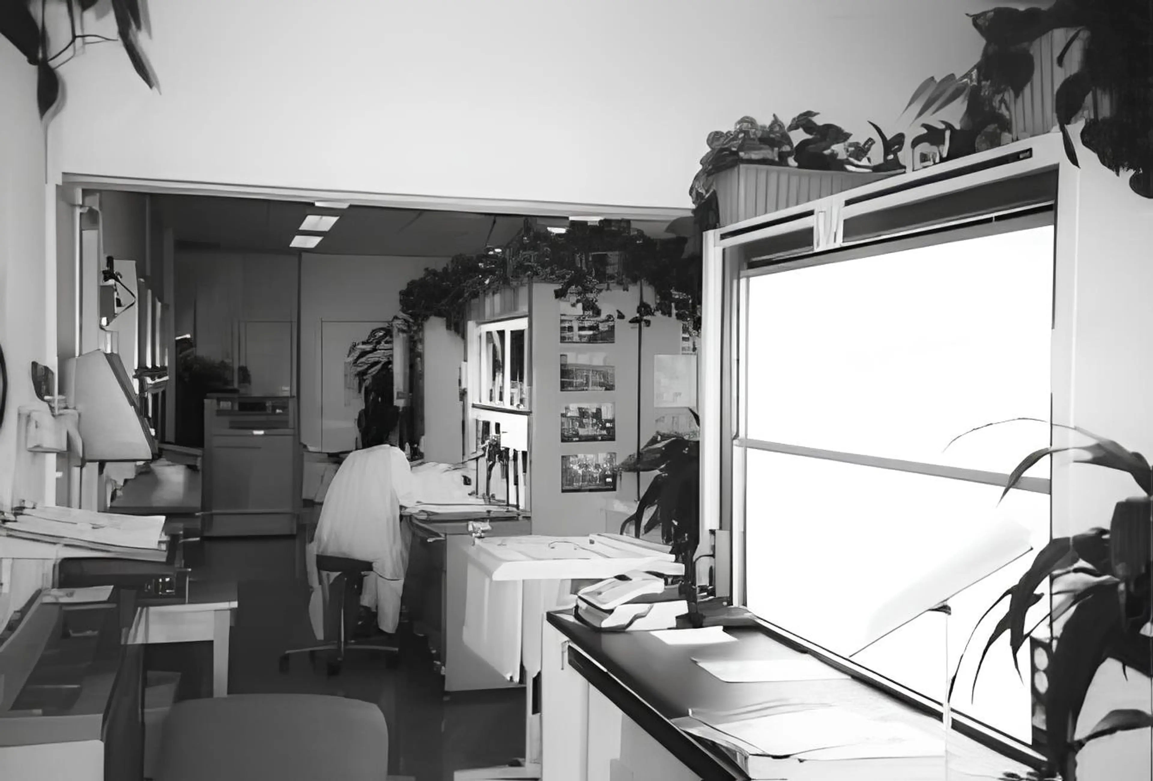 Unpacking the studies of Prof. Dr Tøve Fjeld