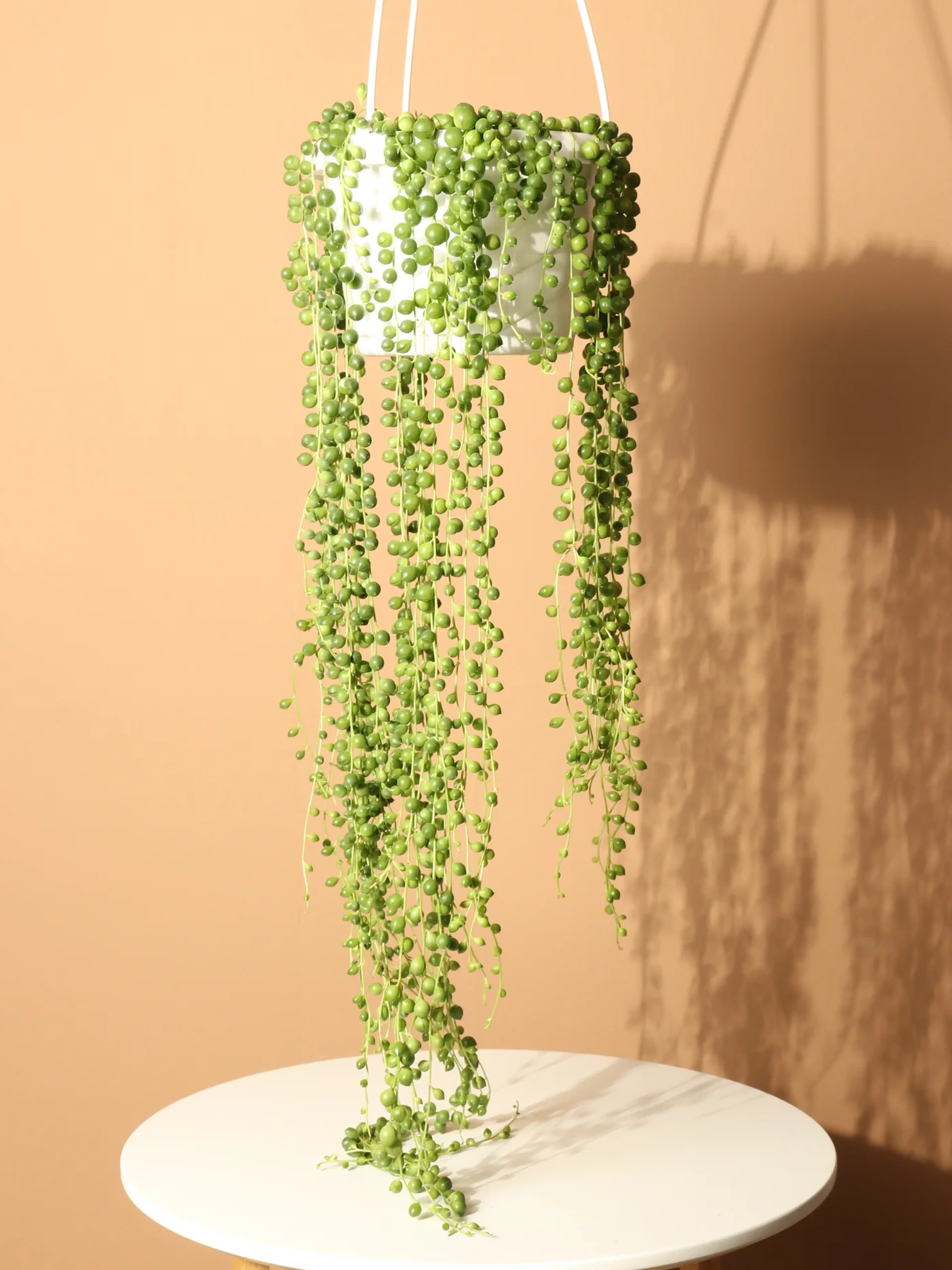 A hanging basket with string of pearls
