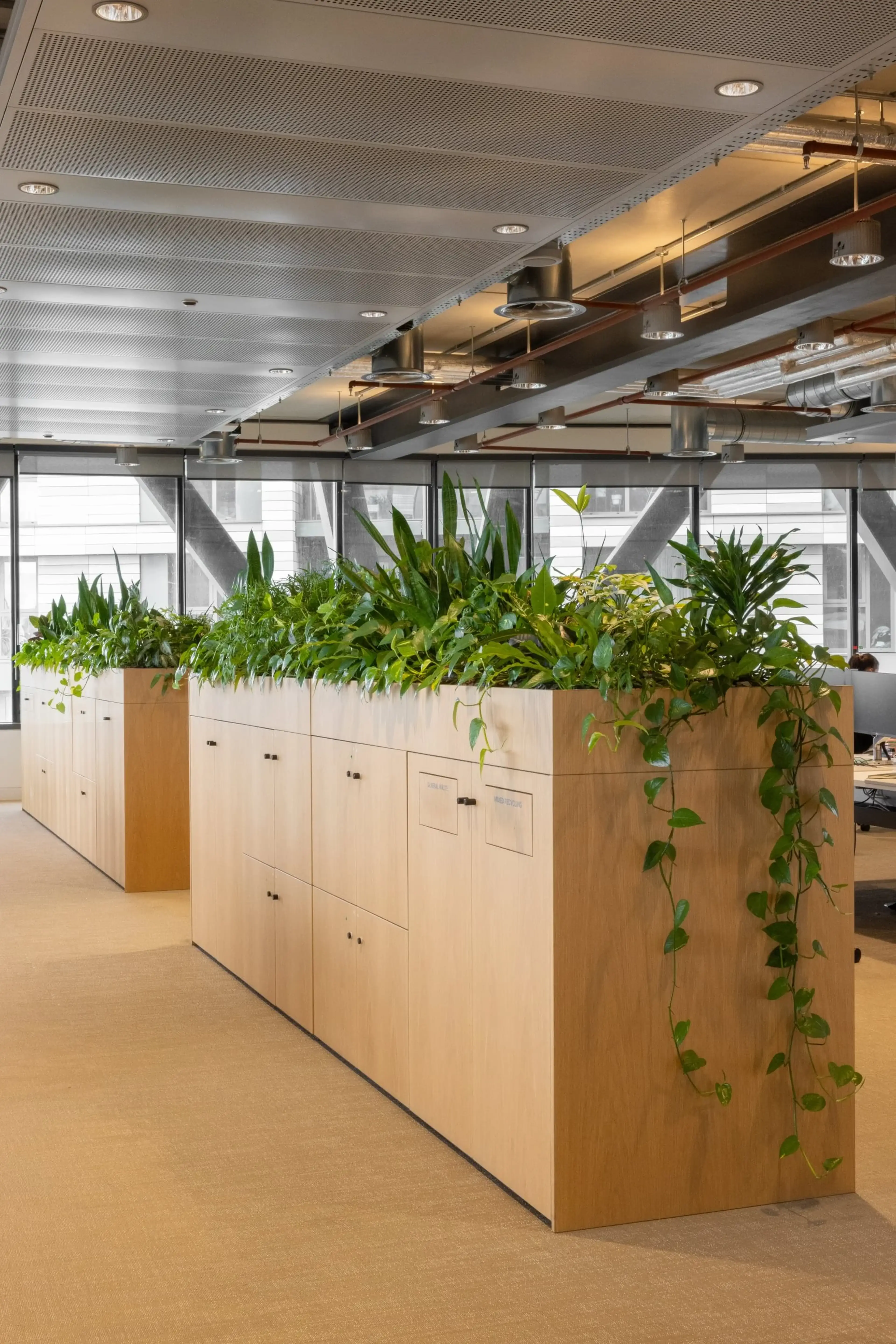 Modern office interior with wooden cabinets topped by lush green plants. Large windows and industrial ceiling create an open, airy atmosphere.