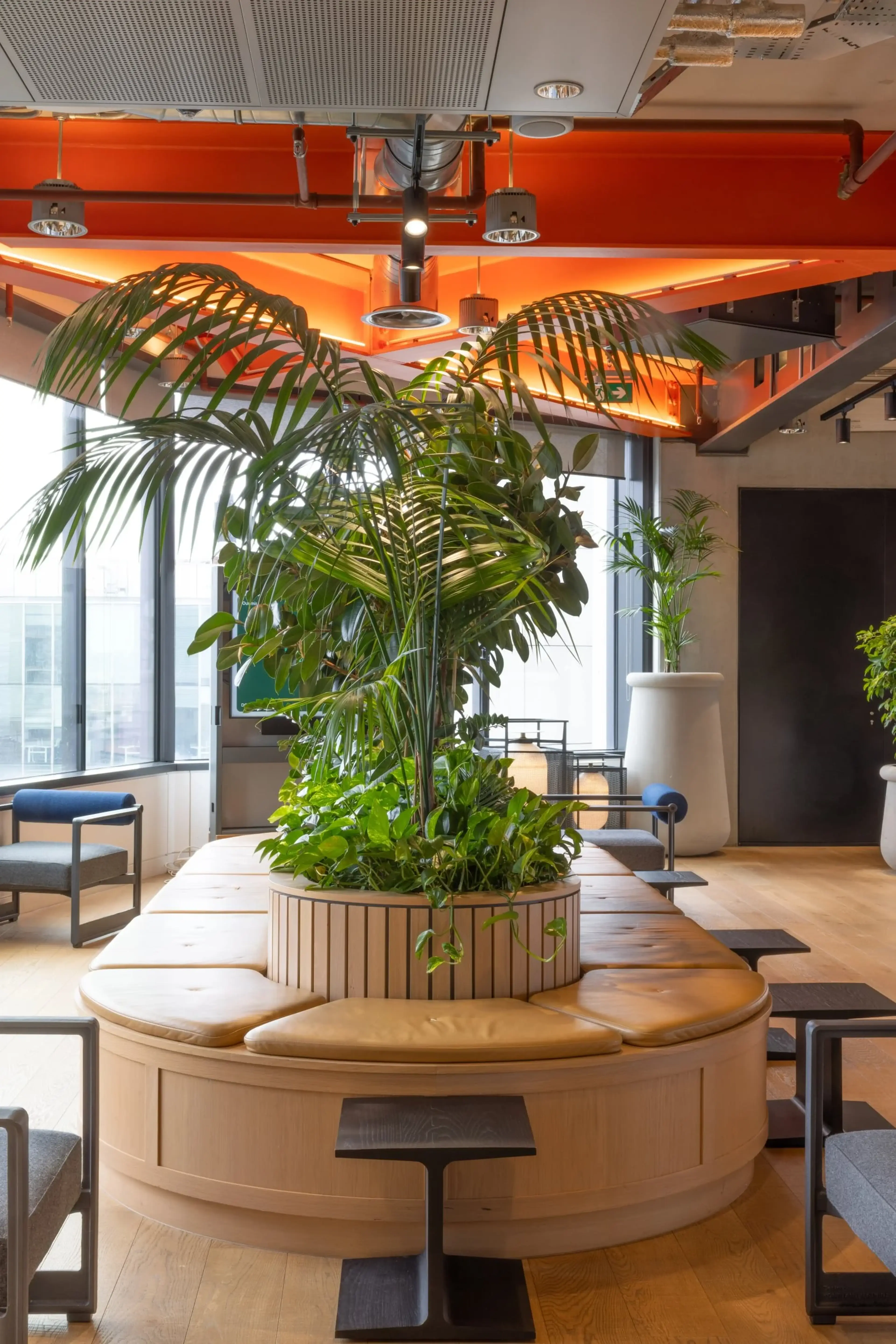 Modern lounge area with a round wooden bench and lush plants, under an orange ceiling with industrial lighting and large windows.