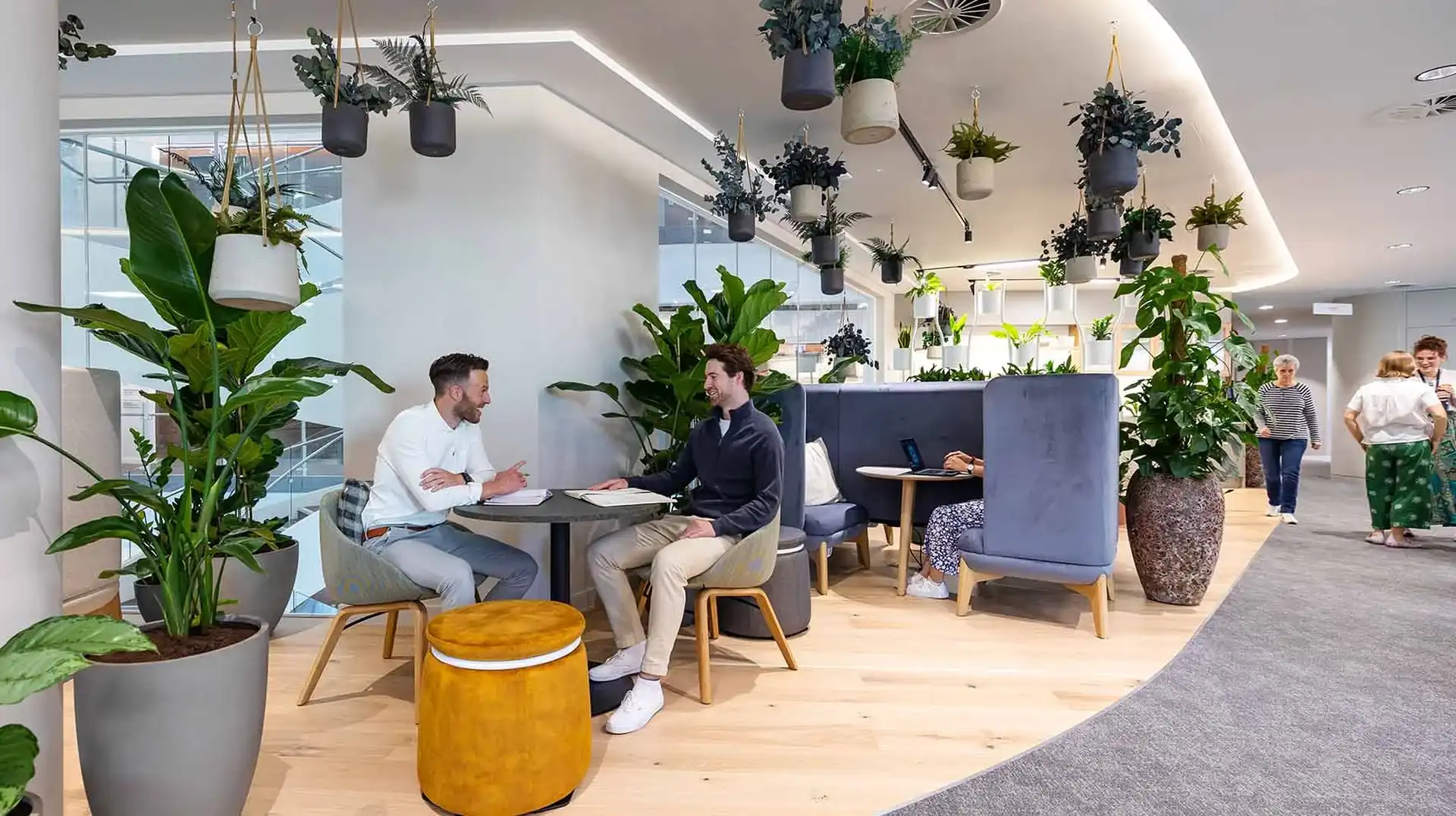 Background media image