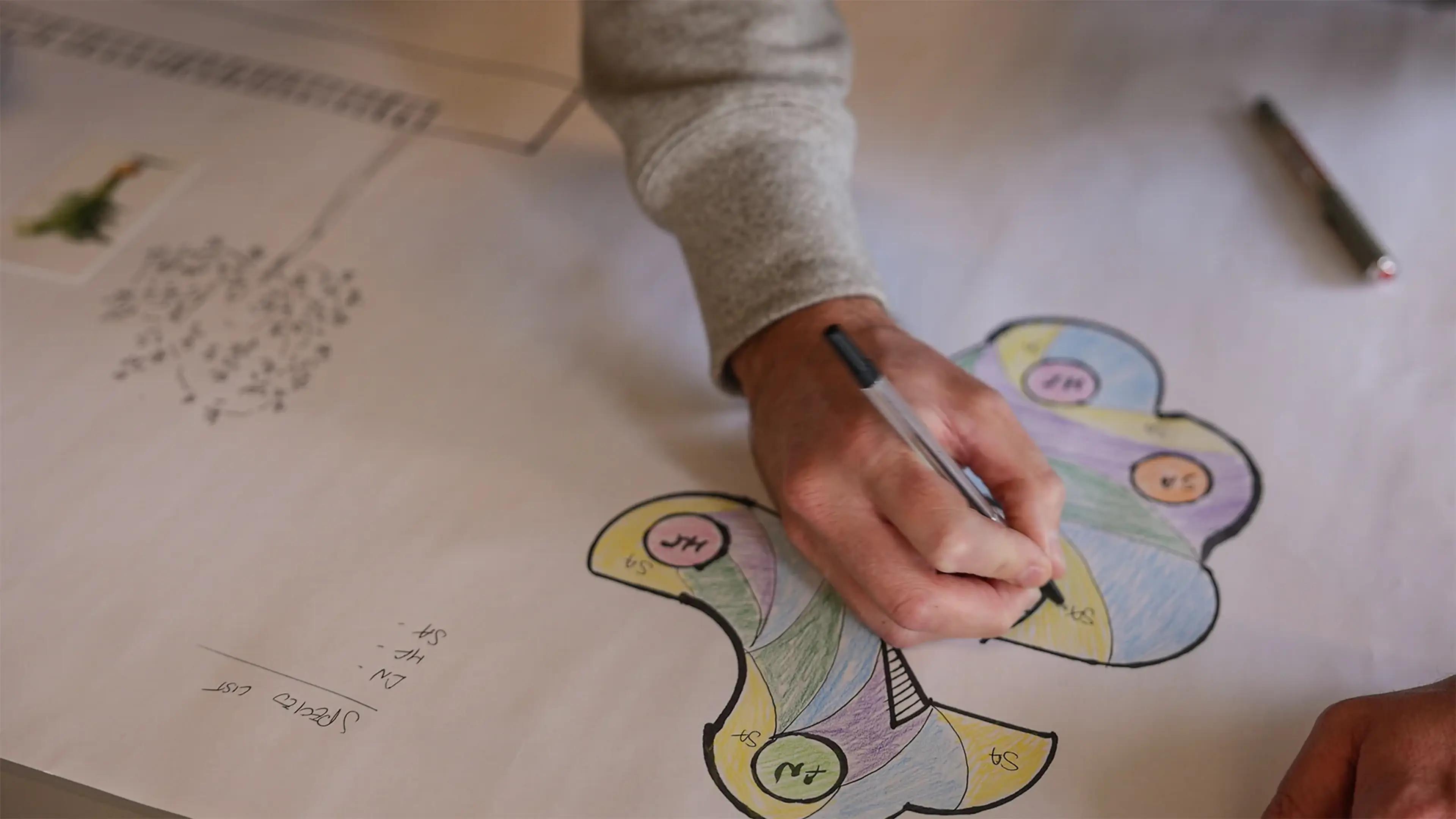 Indoor Planting Price Guide