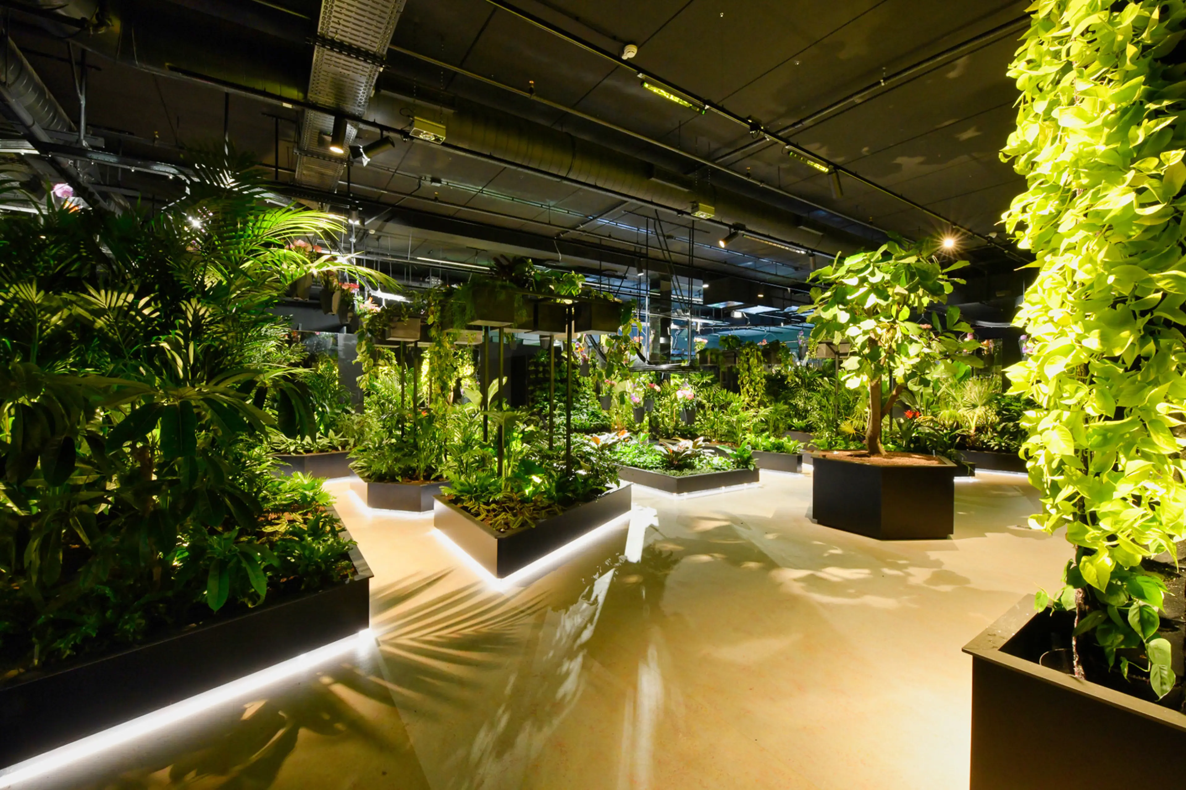 Floriworld - Lighting by Indoor Green Lighting