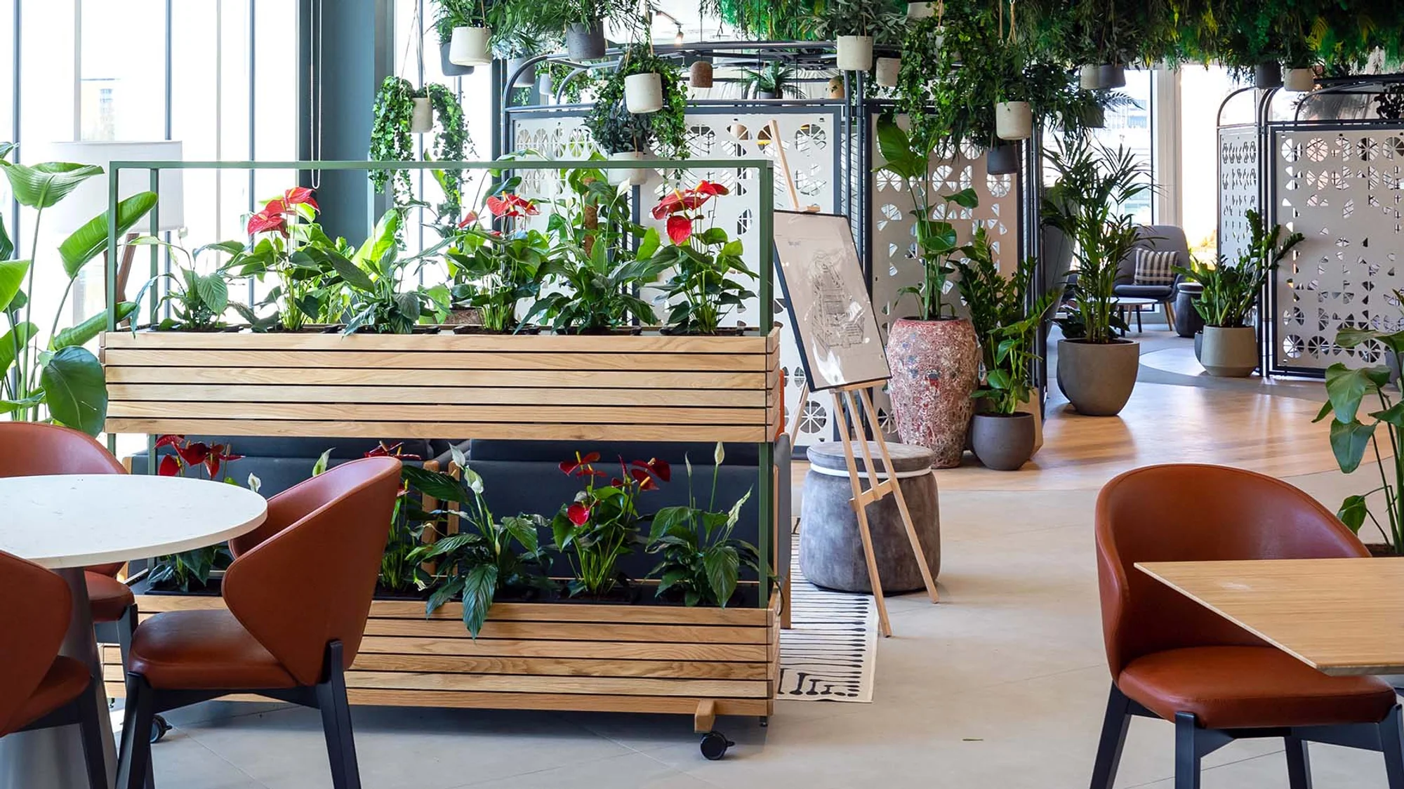 Plant Plan - Office Planting Suppliers - Stevenage and Surrounding Area