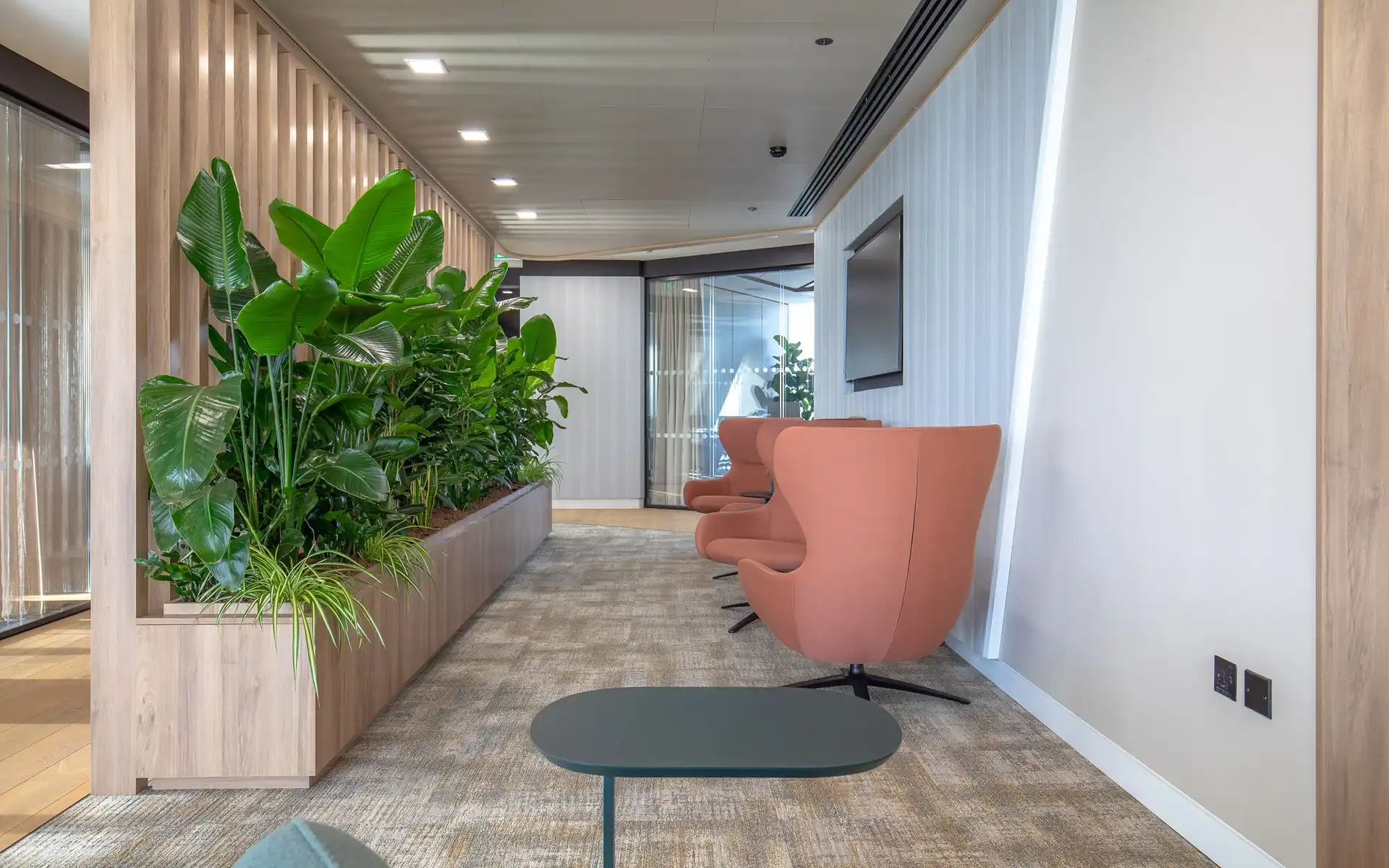 Background media image