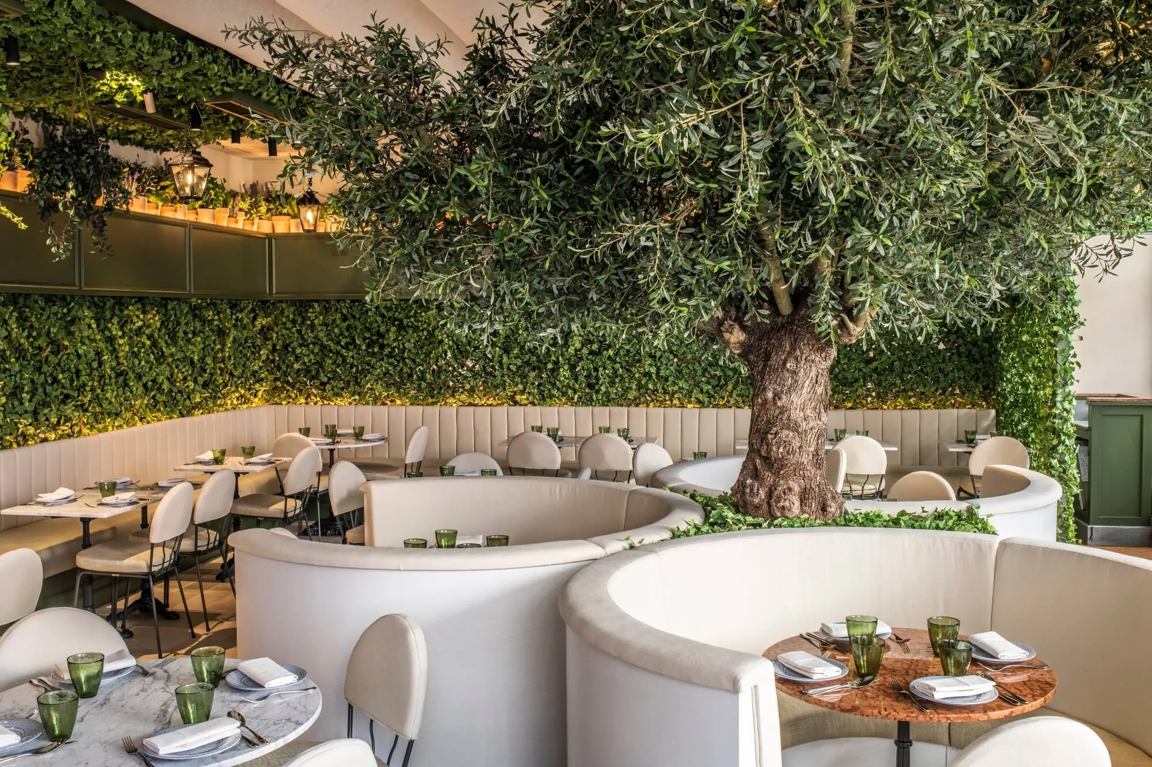 A luxurious restaurant interior featuring a central olive tree surrounded by circular booths, complemented by green plant walls and an elegant, nature-inspired design.