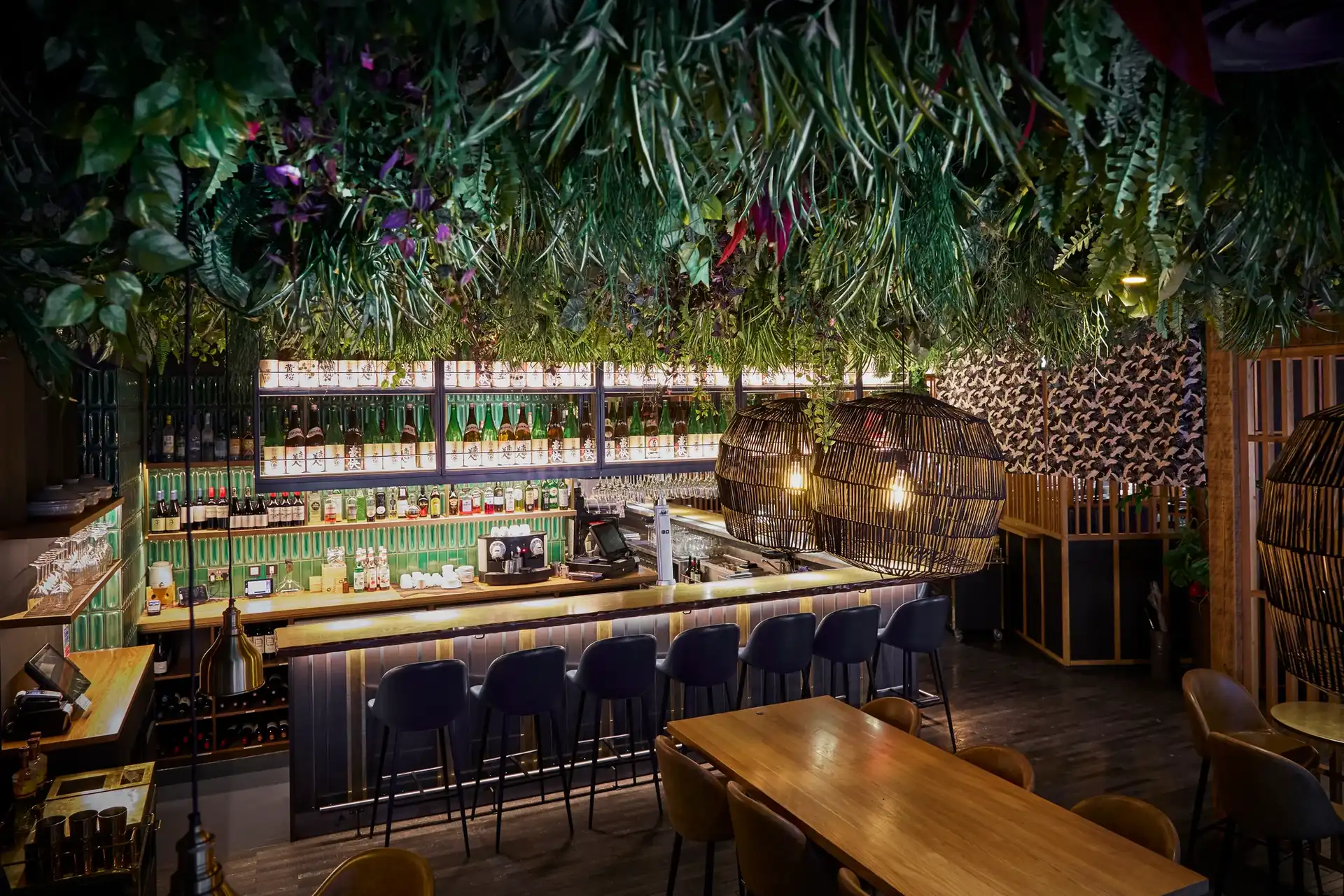 Background media image