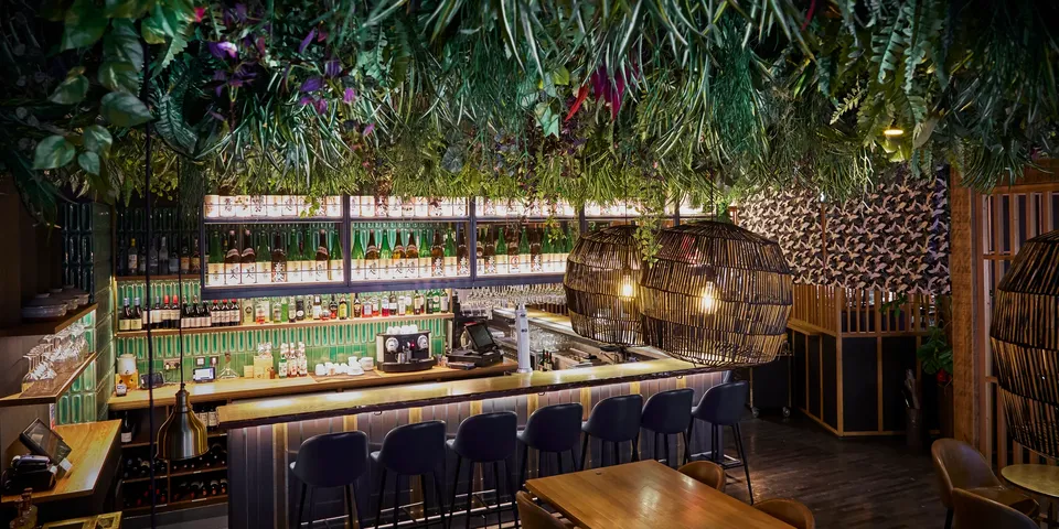 Ceiling Raft - Plant Plan