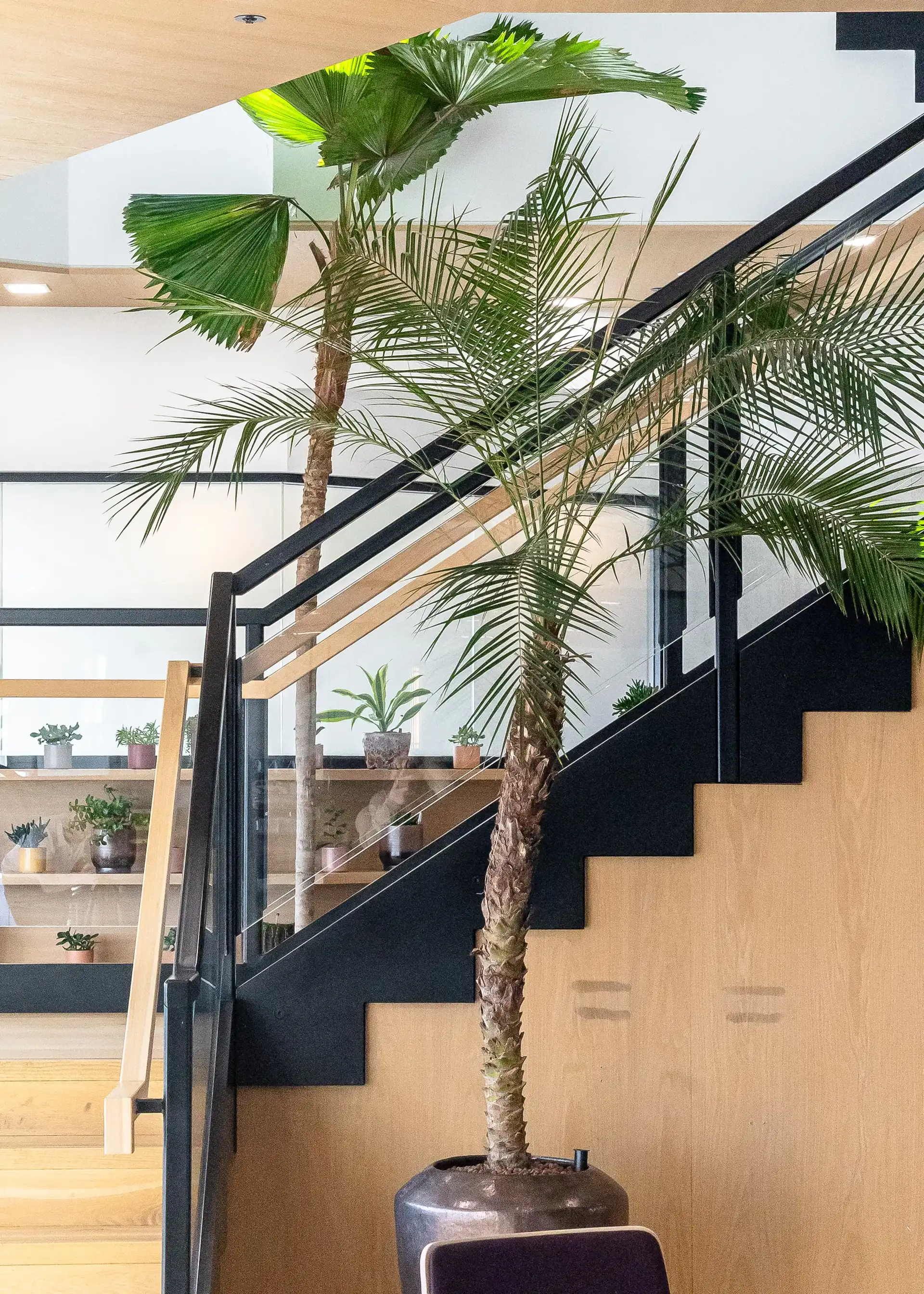 Background media image