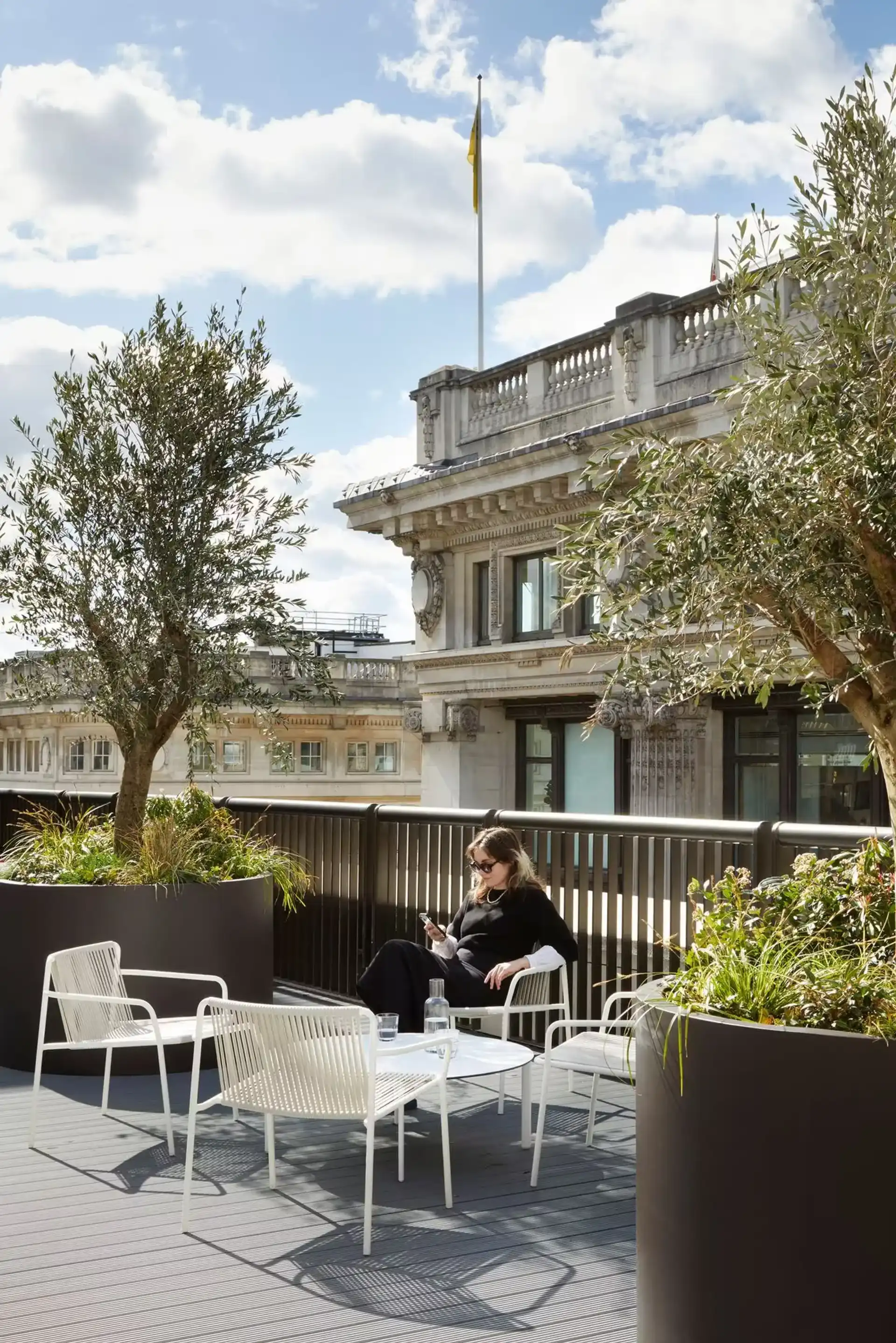 Background media image