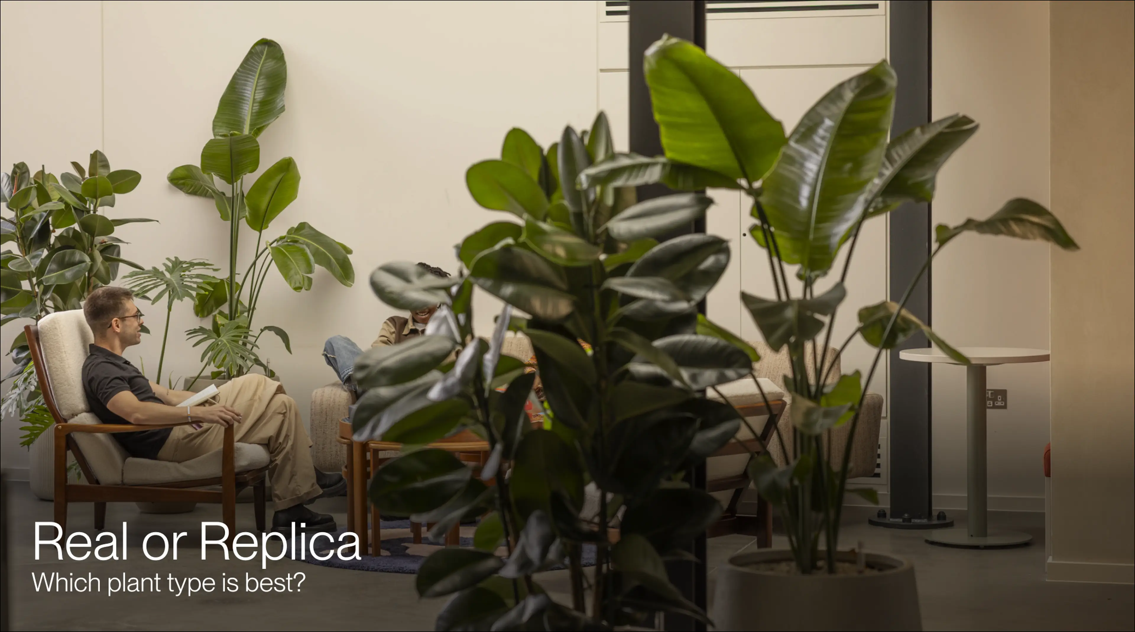 A room with large potted plants, two people sitting in chairs, and text reading "Real or Replica: Which plant type is best?"