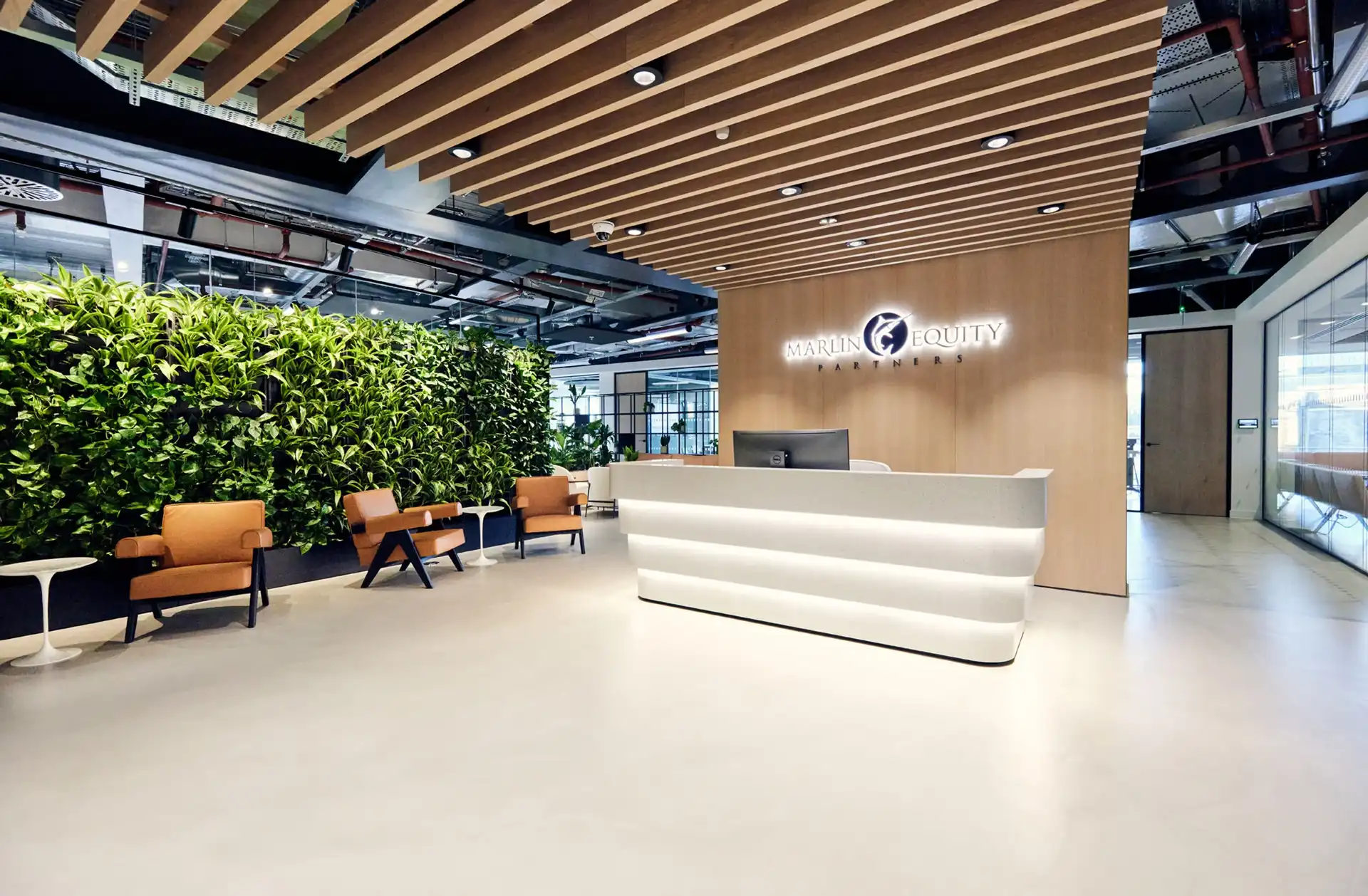 Background media image