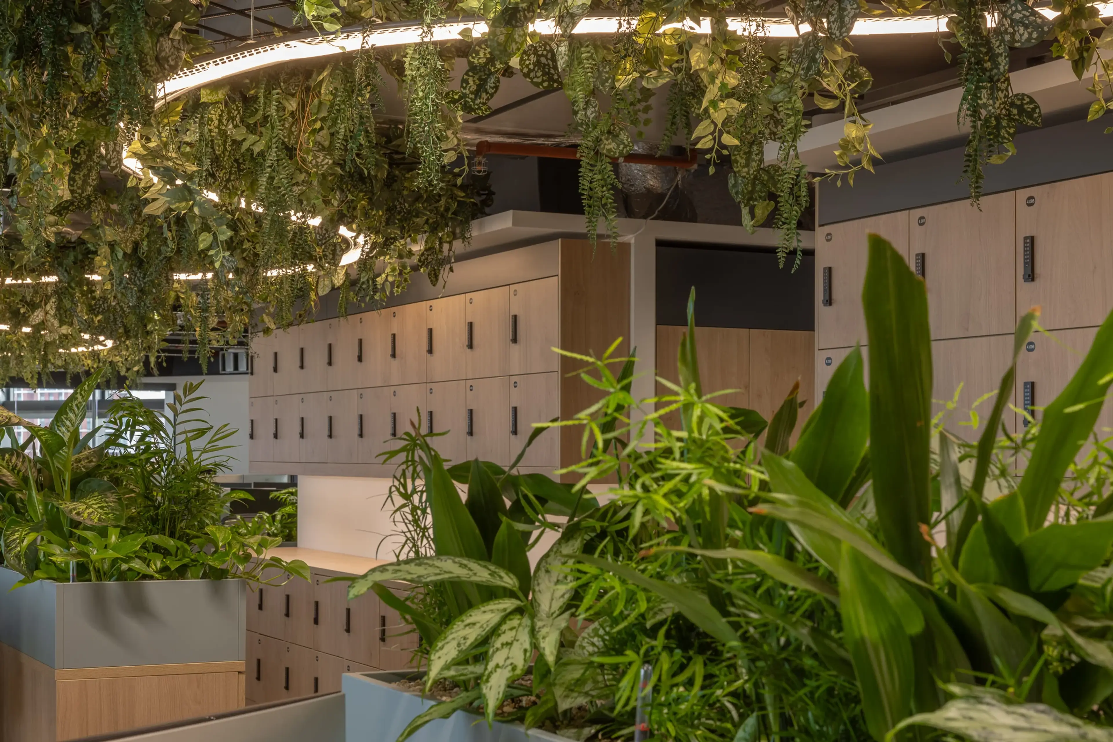 Gallery slider image