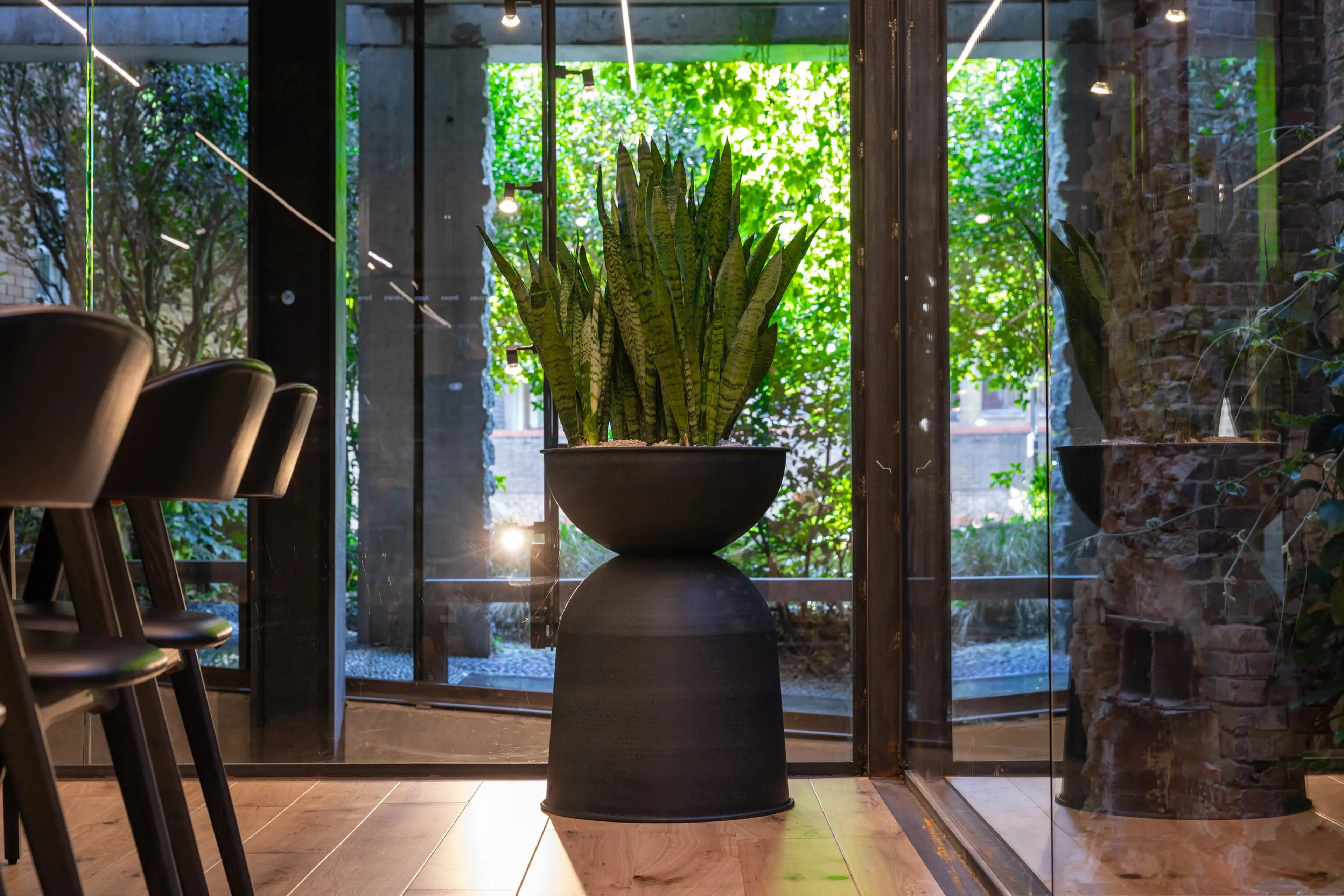 A modern indoor space with a large potted plant on a wooden floor, surrounded by glass walls revealing lush greenery outside.