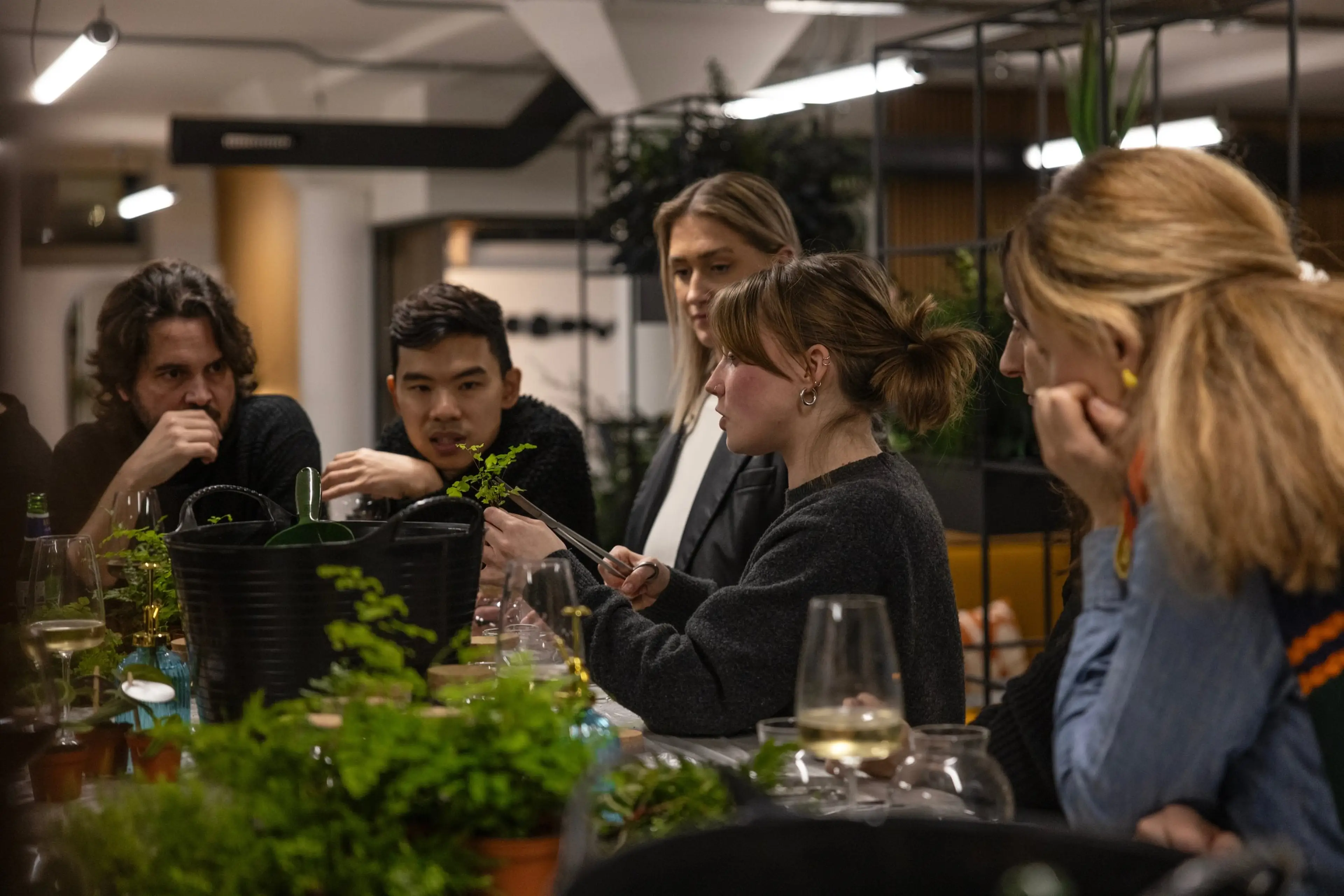 Terrarium Aftercare Guide