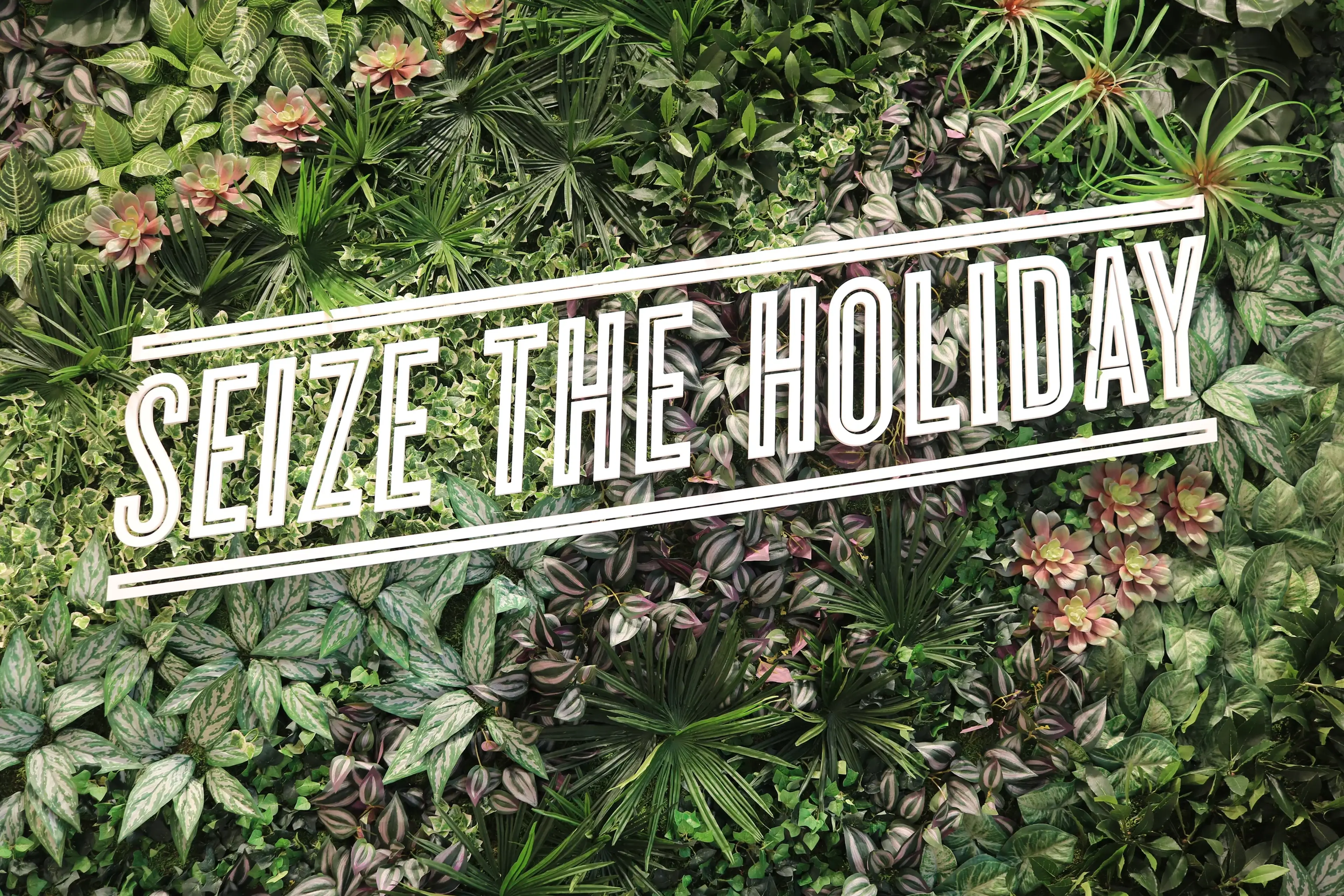 Gallery slider image