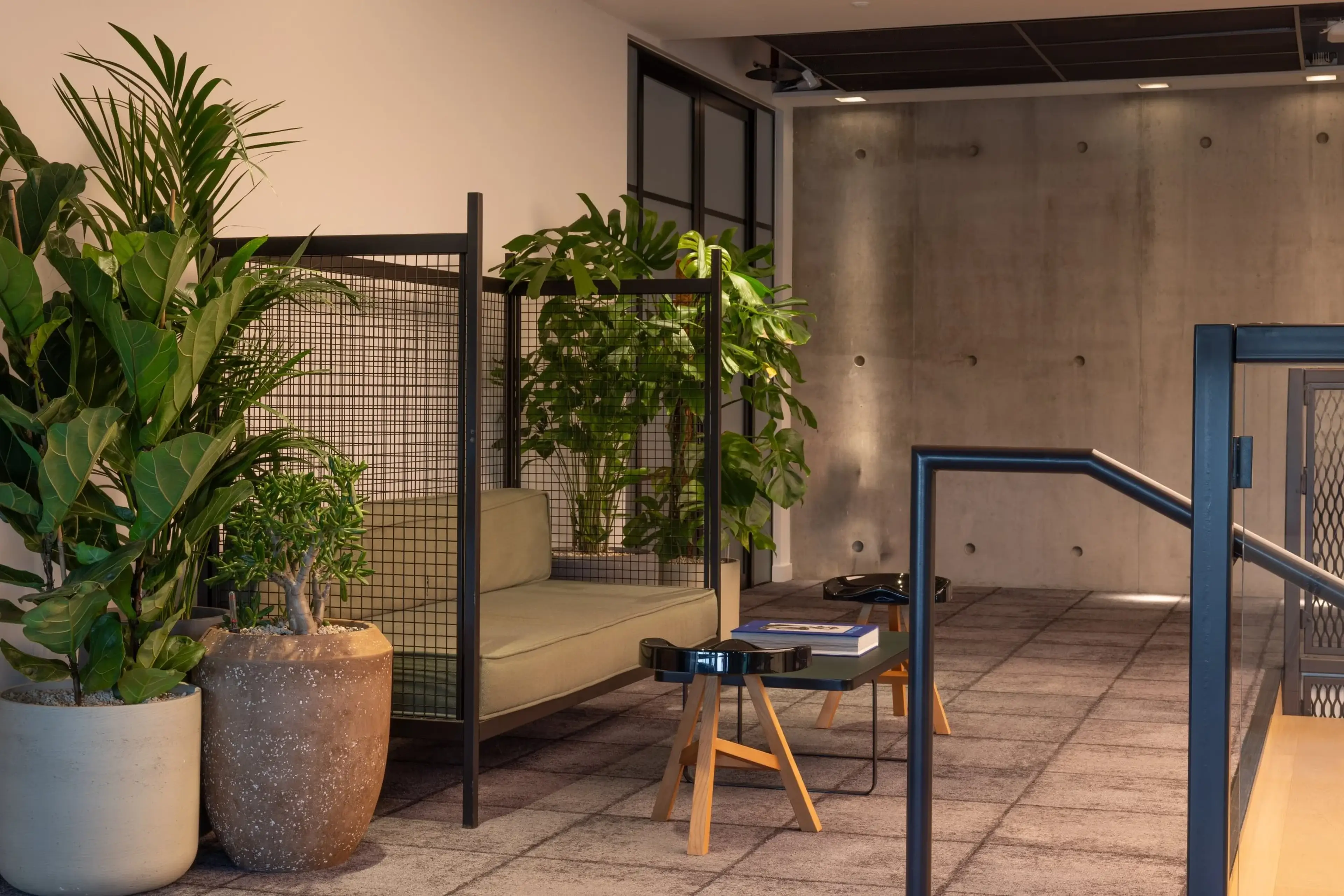 Modern office lounge with potted plants, a metal-framed sofa, and a wooden coffee table, set against a concrete wall.