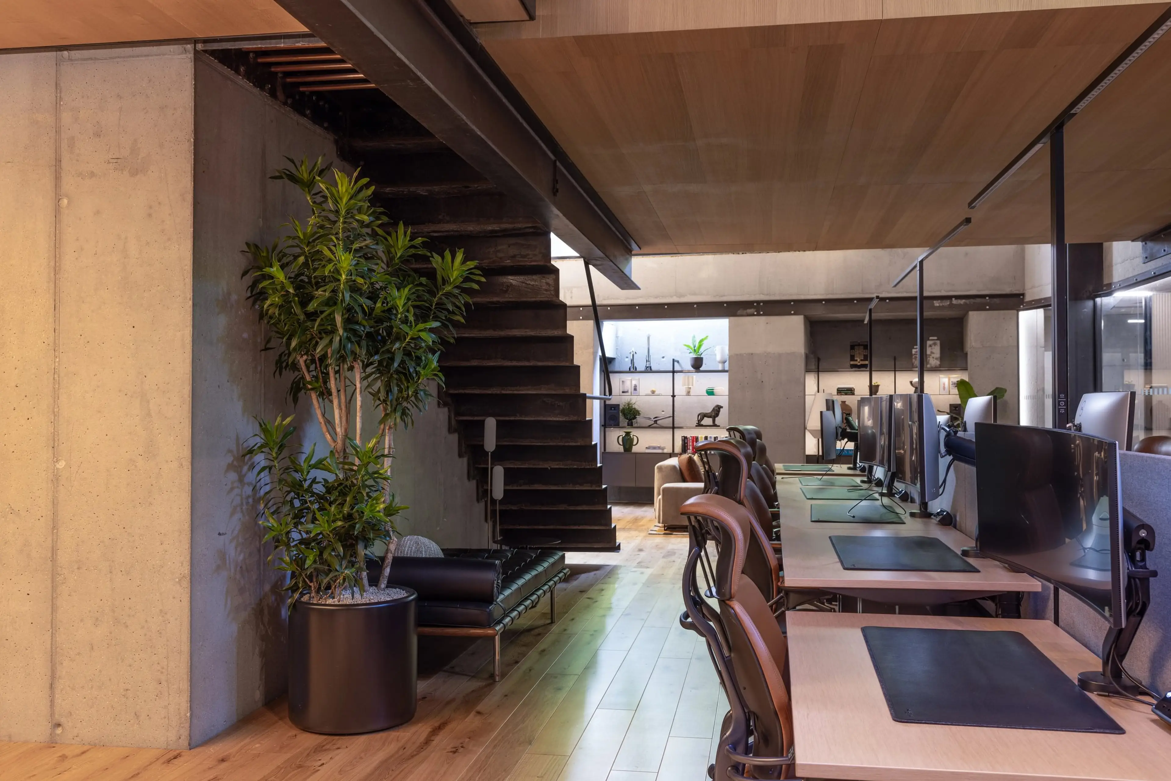 Modern office space with wooden floors, a row of desks with computers, a black staircase, and potted plants.