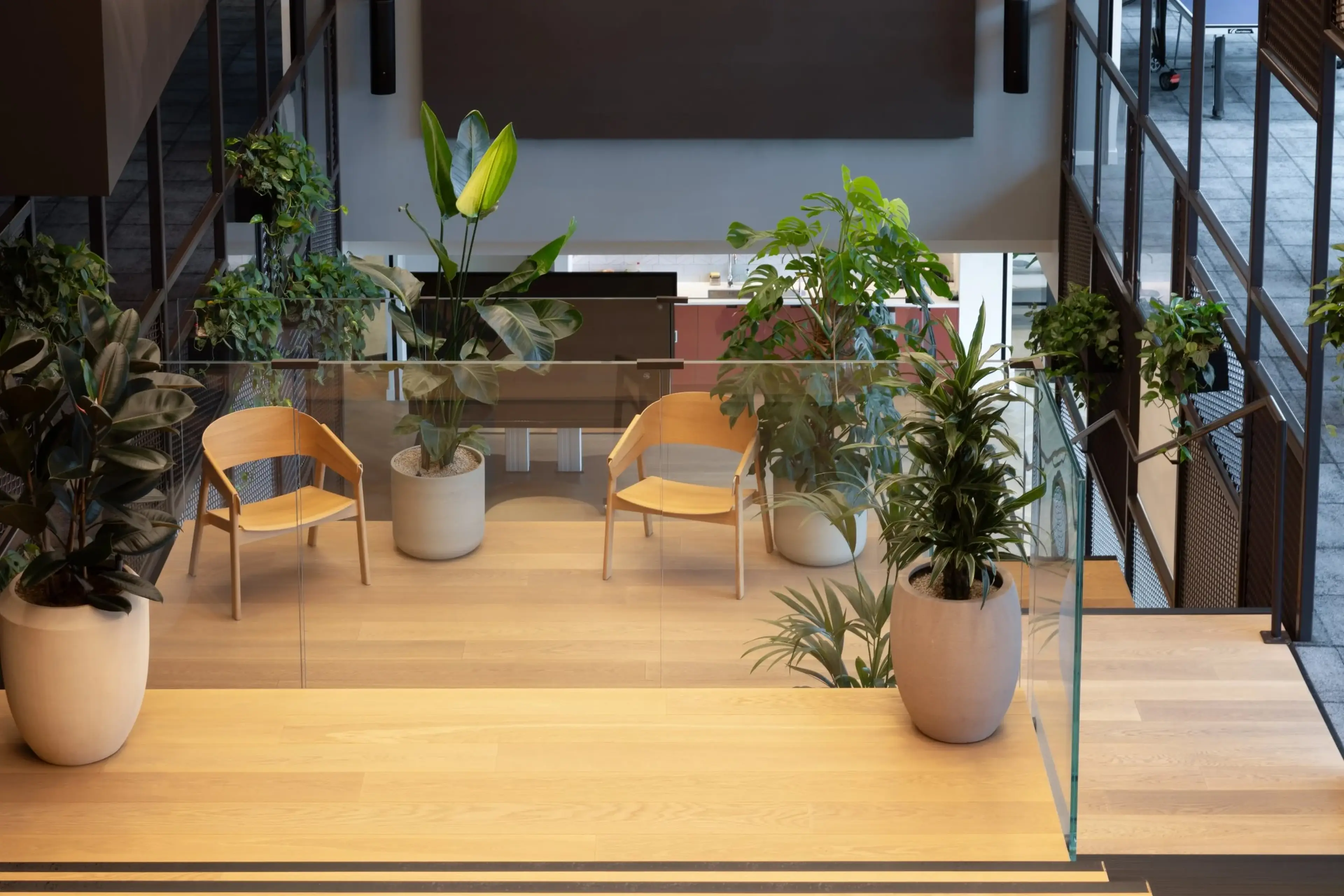 Modern interior with wooden chairs and lush potted plants, surrounded by glass railings and metal framework.