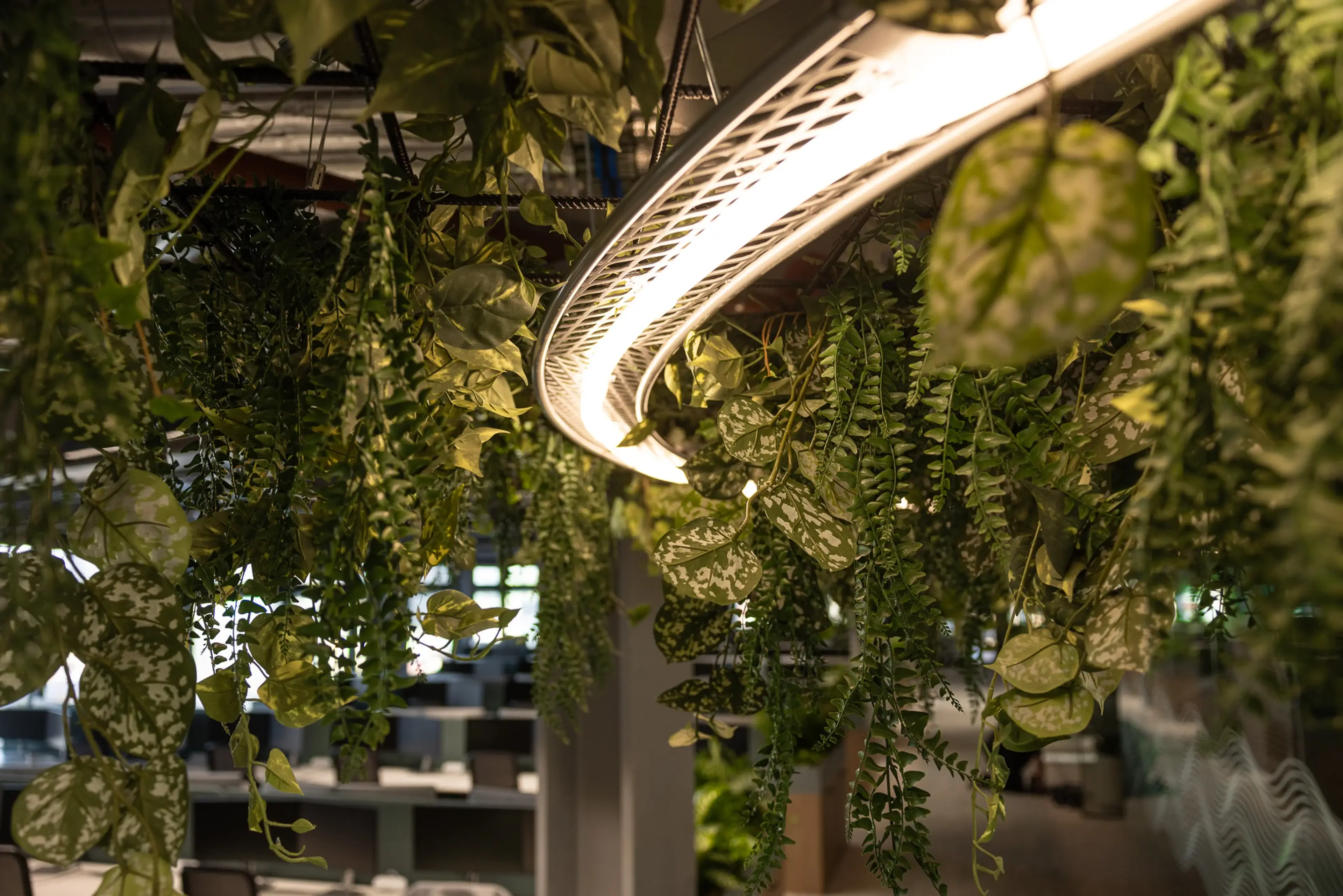 Artificial plants by Plant Plan