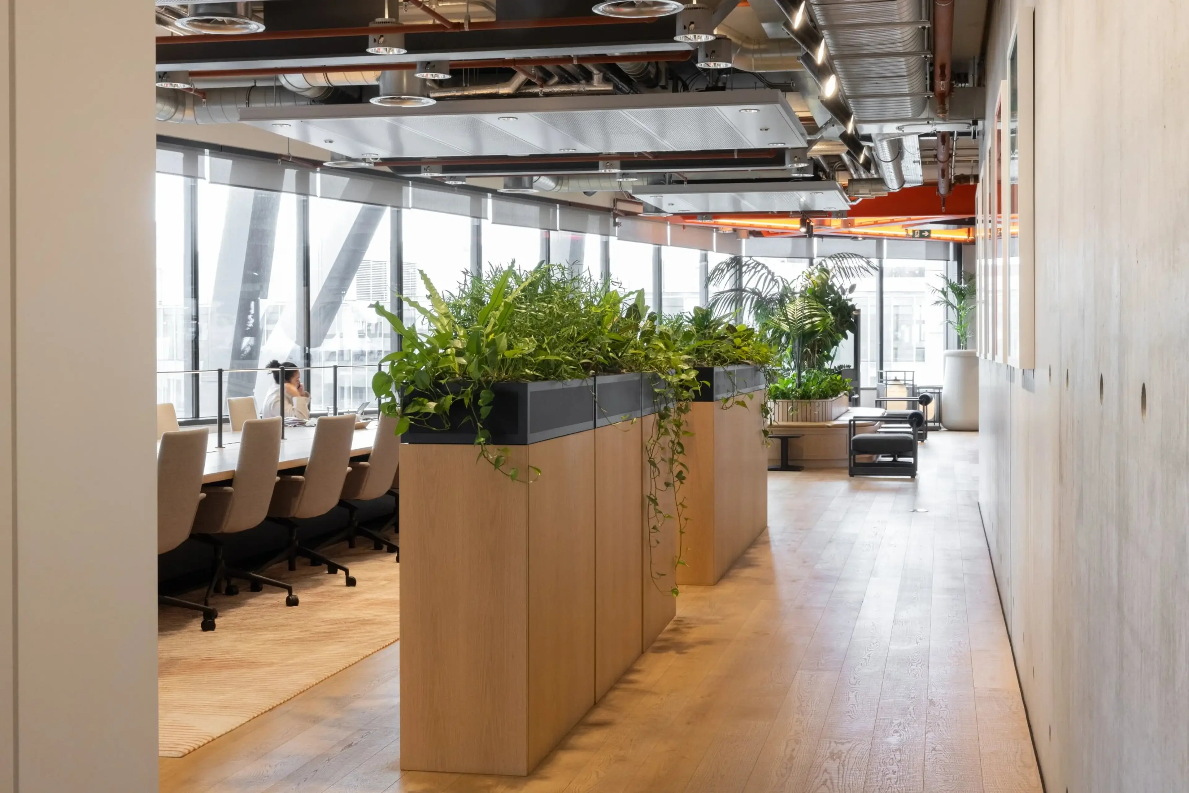 Modern office space with long meeting table, rolling chairs, indoor plants, and large windows providing natural light.