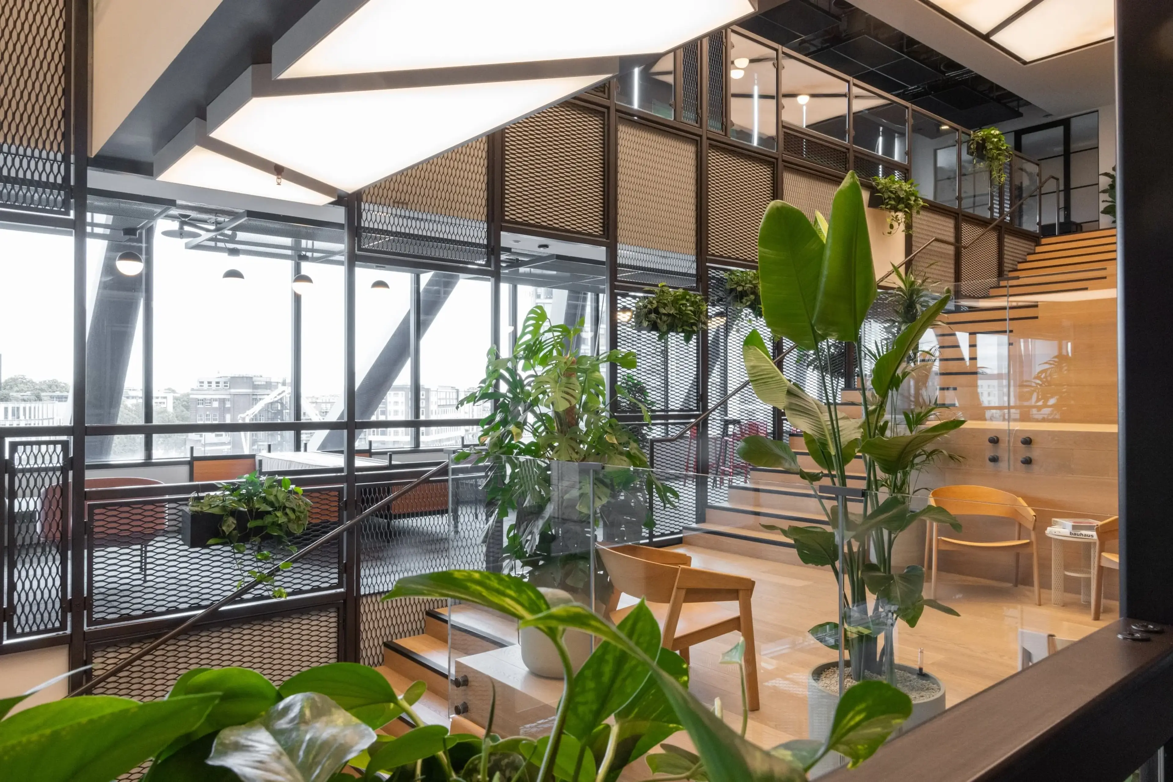 Modern office space with large windows, wooden furniture, and various indoor plants creating a bright, green environment.