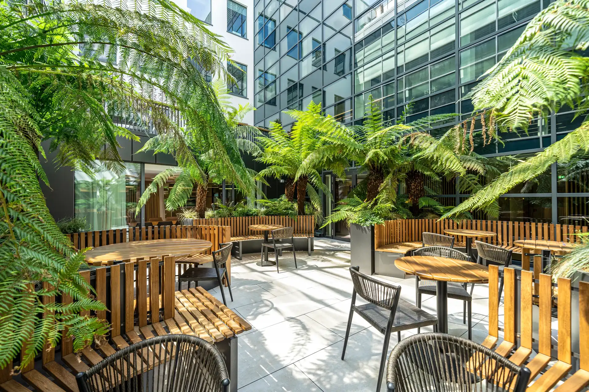 Background media image