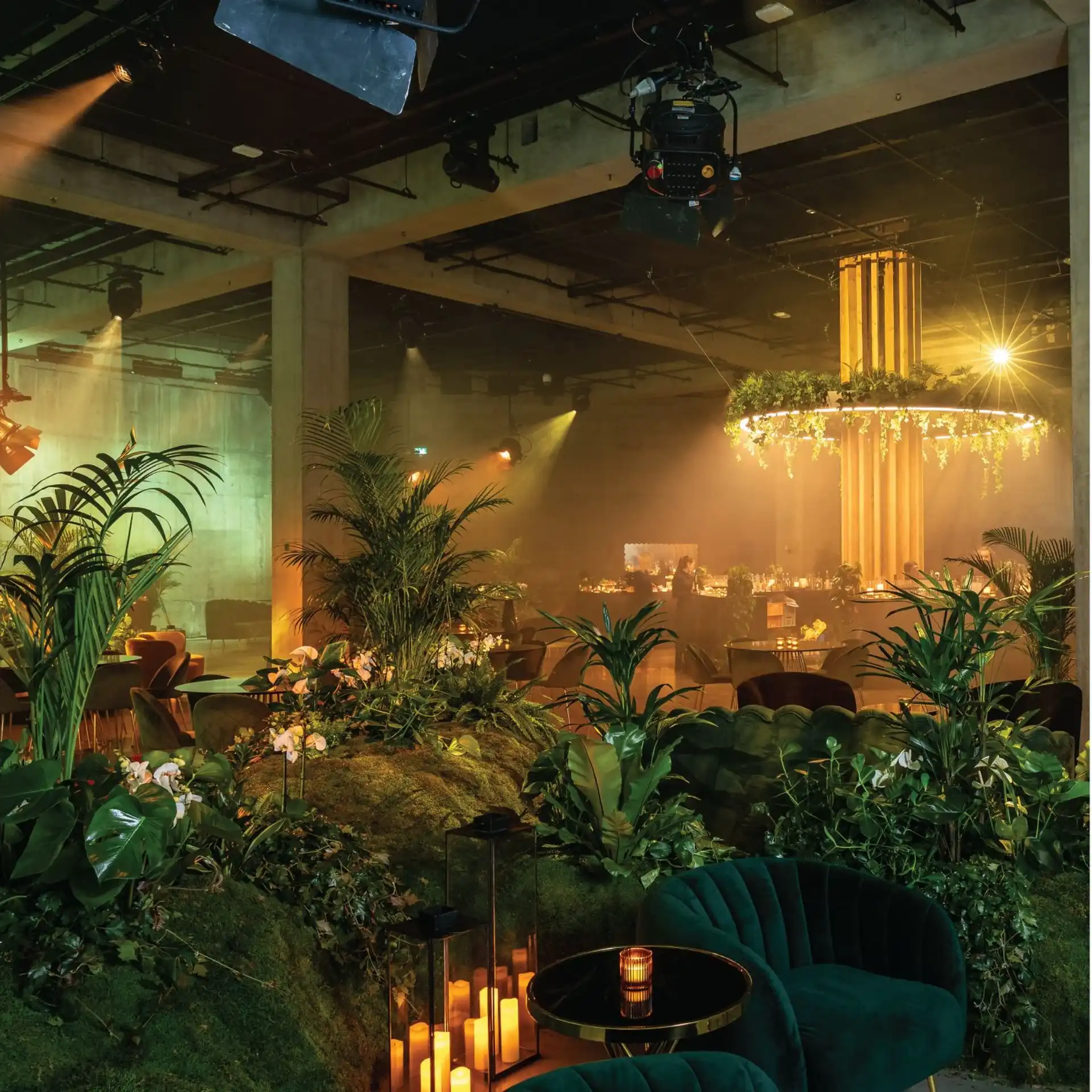 Background media image