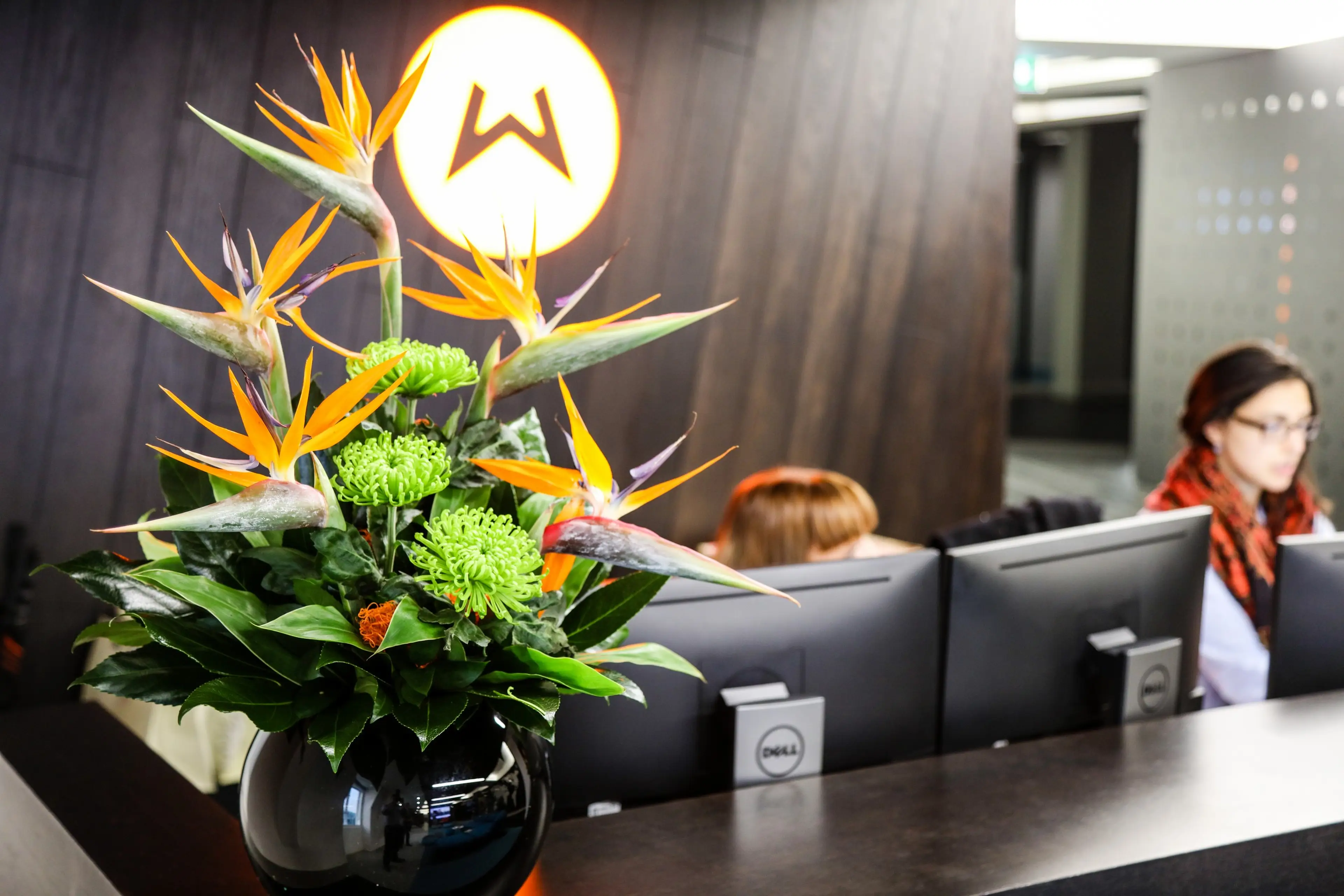 Gallery slider image