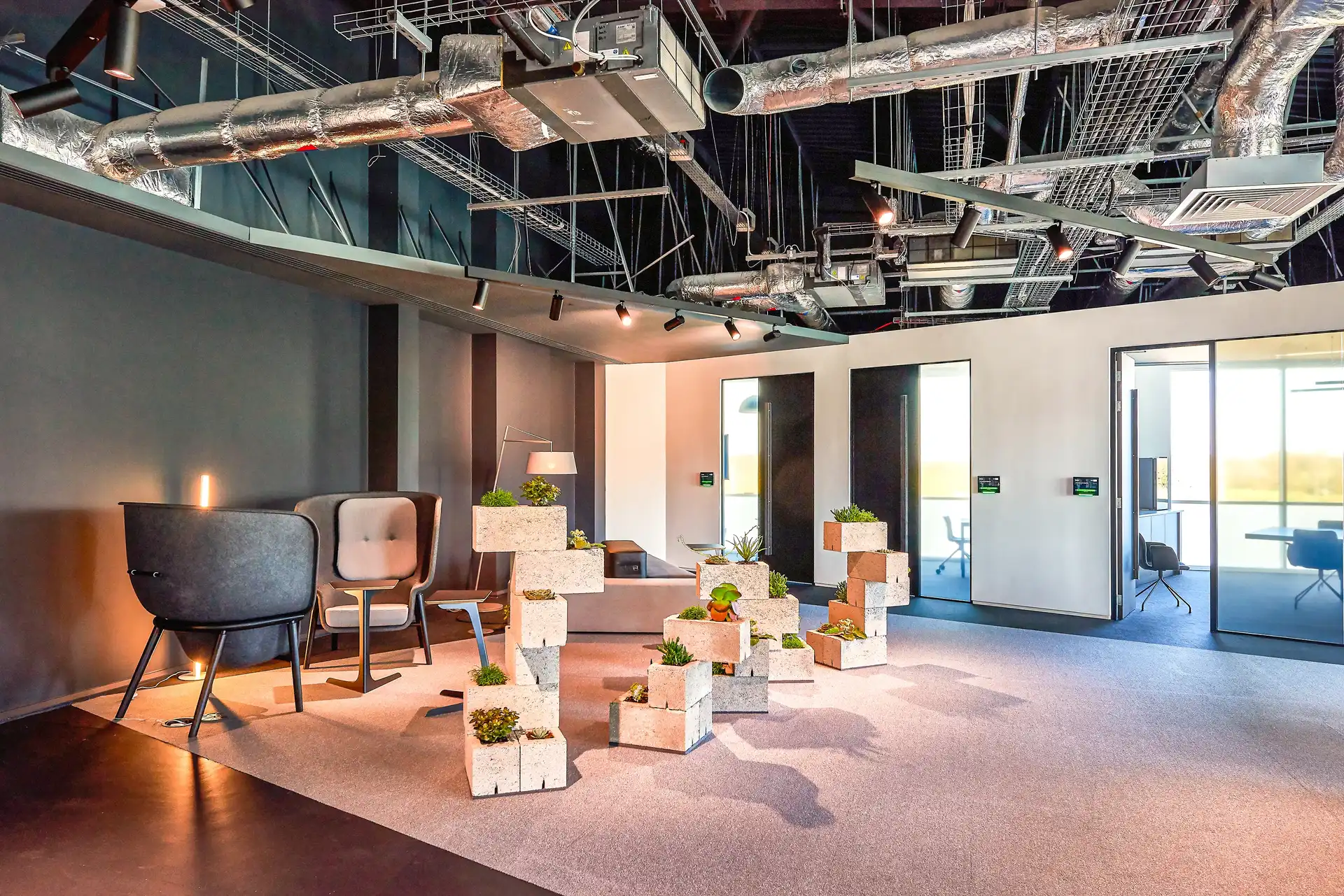 Background media image