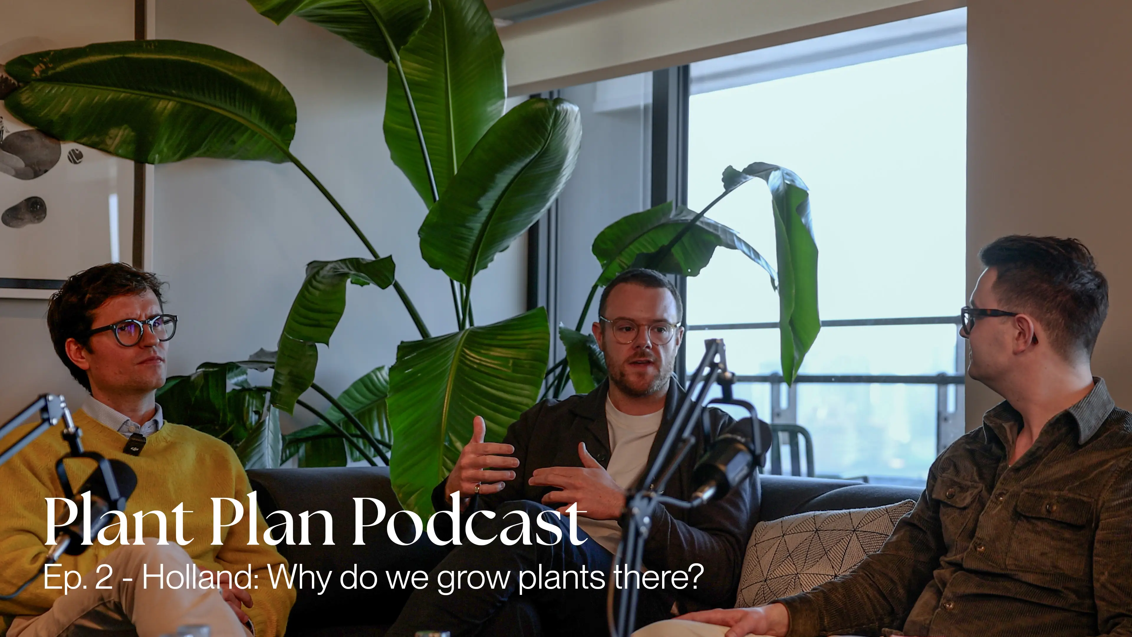 Plant Plan Podcast: Visiting Holland: Why do we grow plants there?