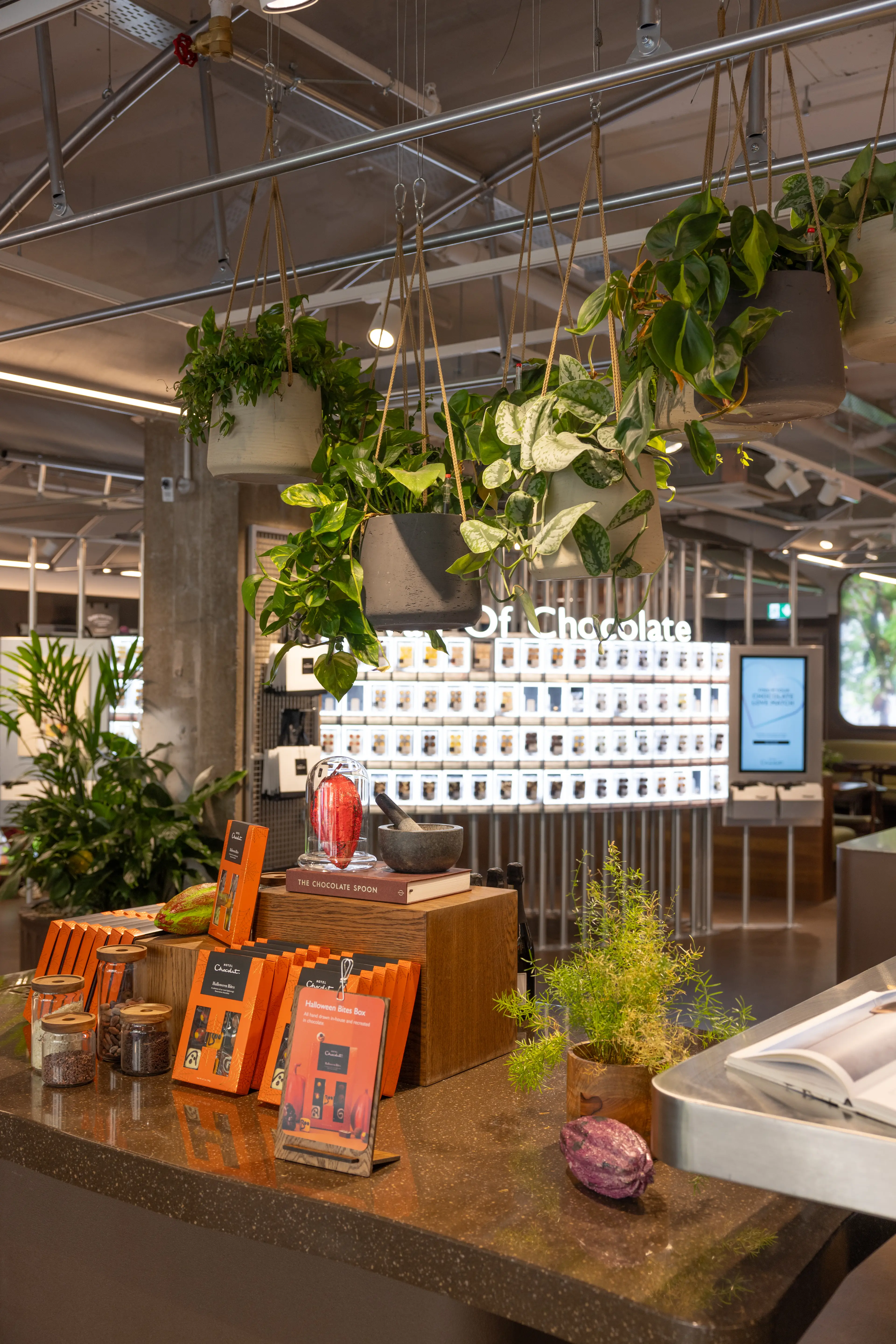 Hanging planters in a chocolate shop
