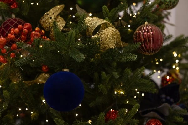 A decorated Christmas tree with green branches, a blue and red ornament, gold ribbon, red berries, and warm white string lights.