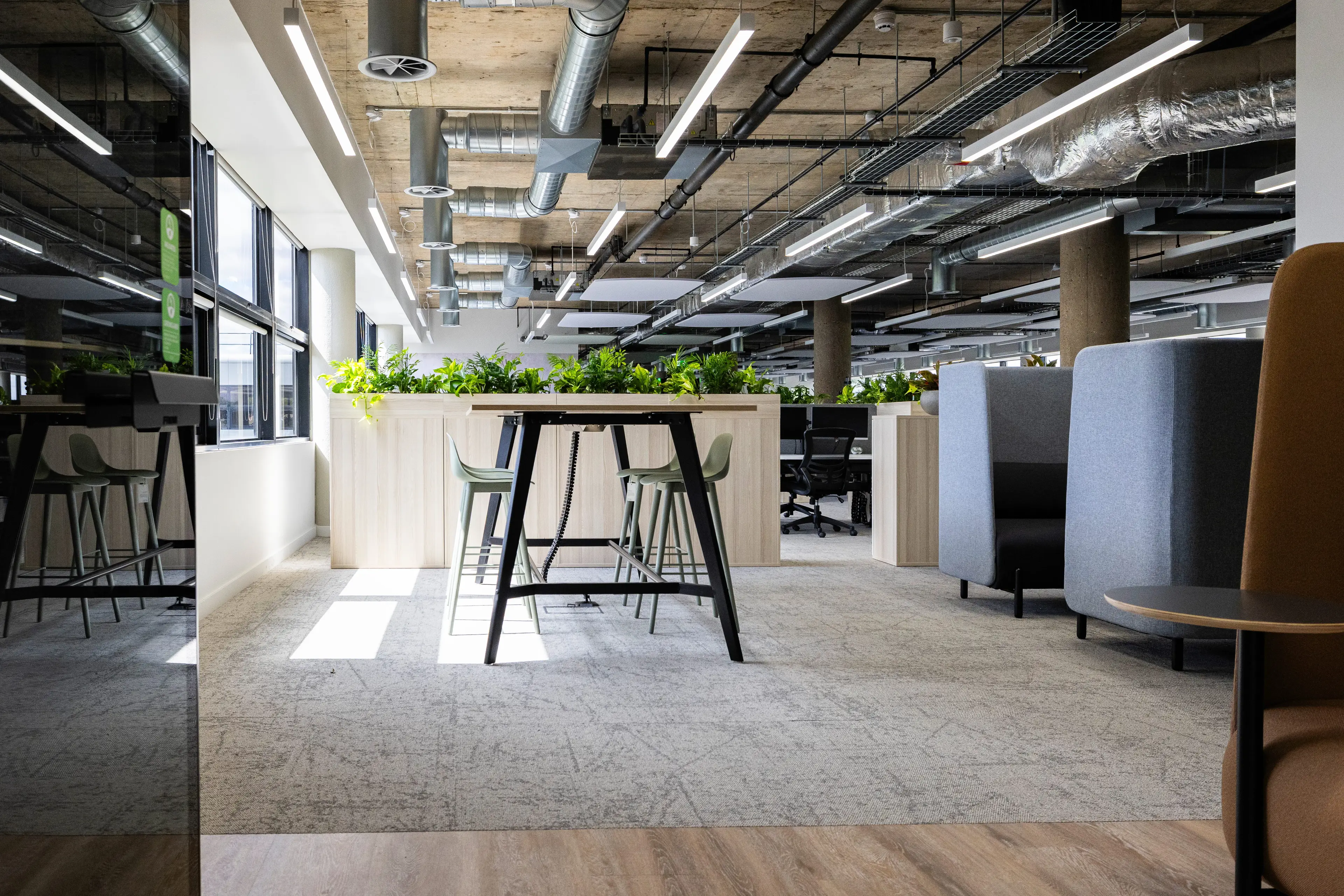 Modern office space with light wood furniture, high tables with stools, potted green plants, gray seating, and exposed industrial ceiling ducts.