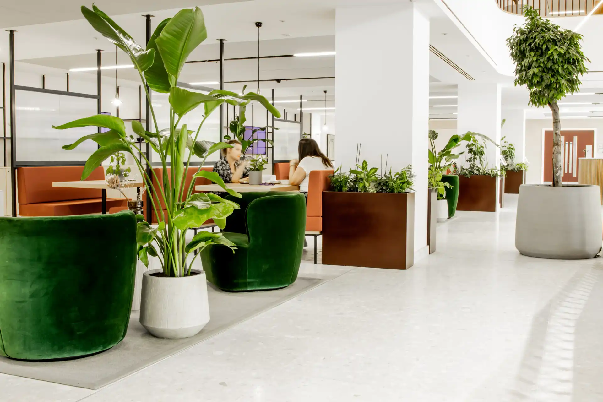 Background media image