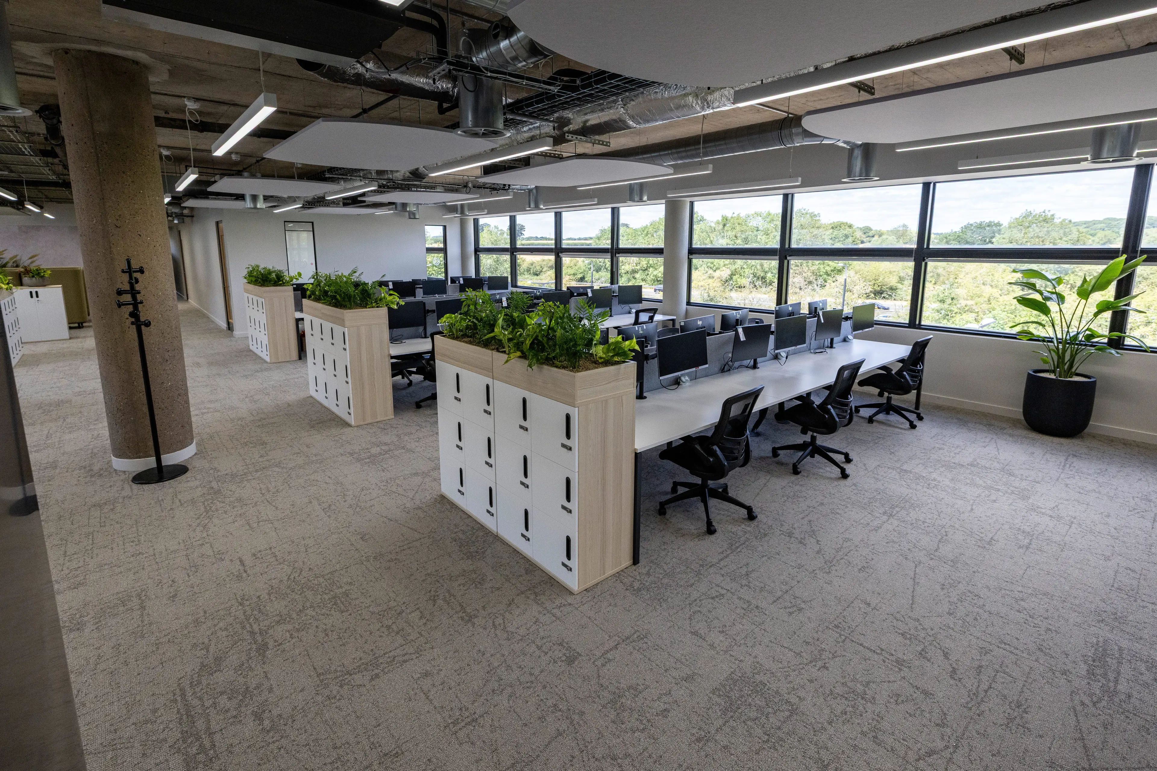 Modern office space with long desks, black chairs, computers, large windows, and green plants on partitions, creating an open and airy environment.