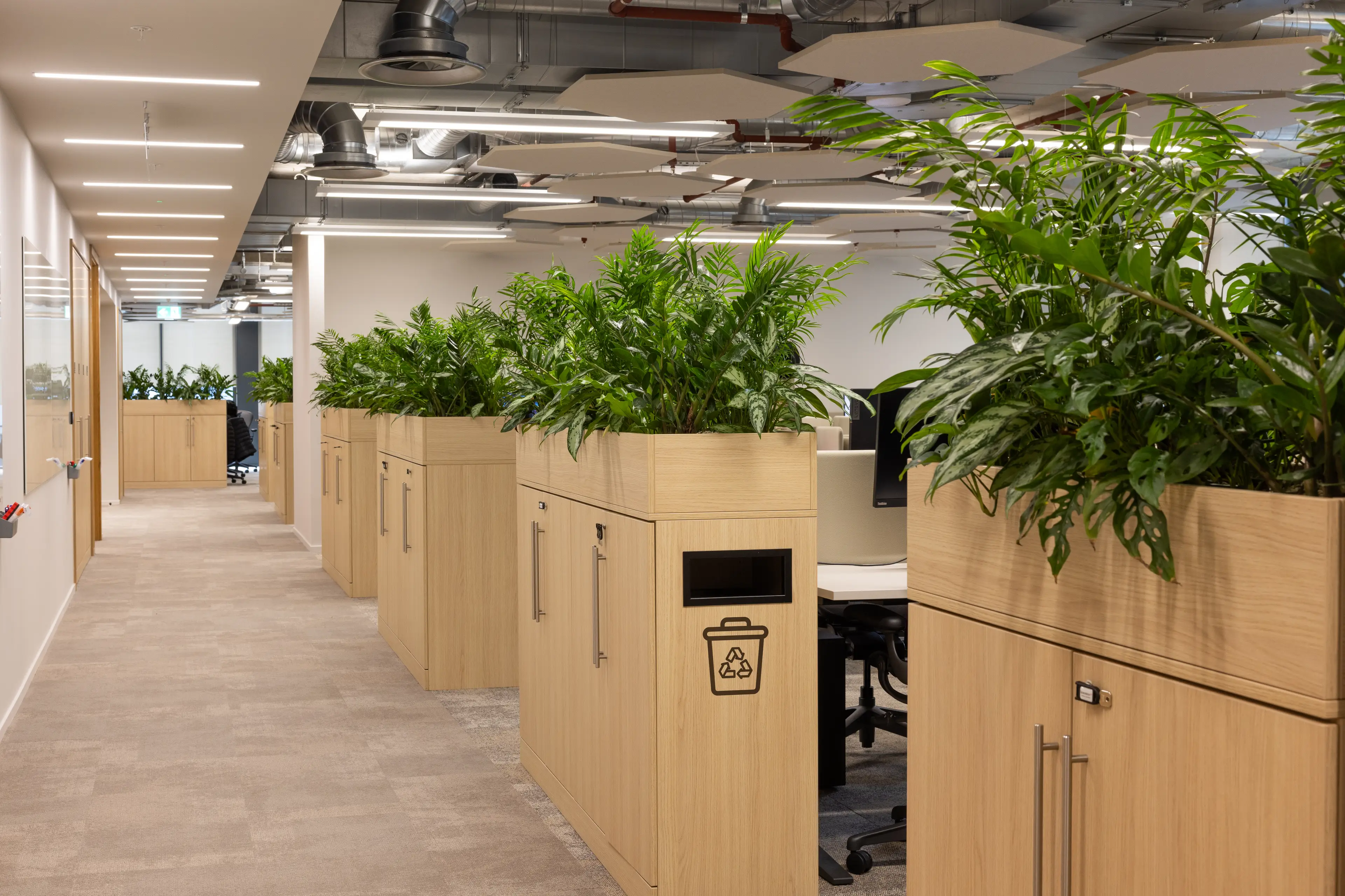 End of desk trough planters in an airy office