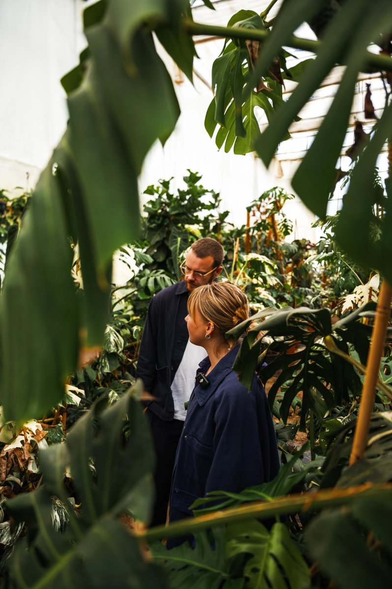 Plant Plan source their plants from leading global suppliers