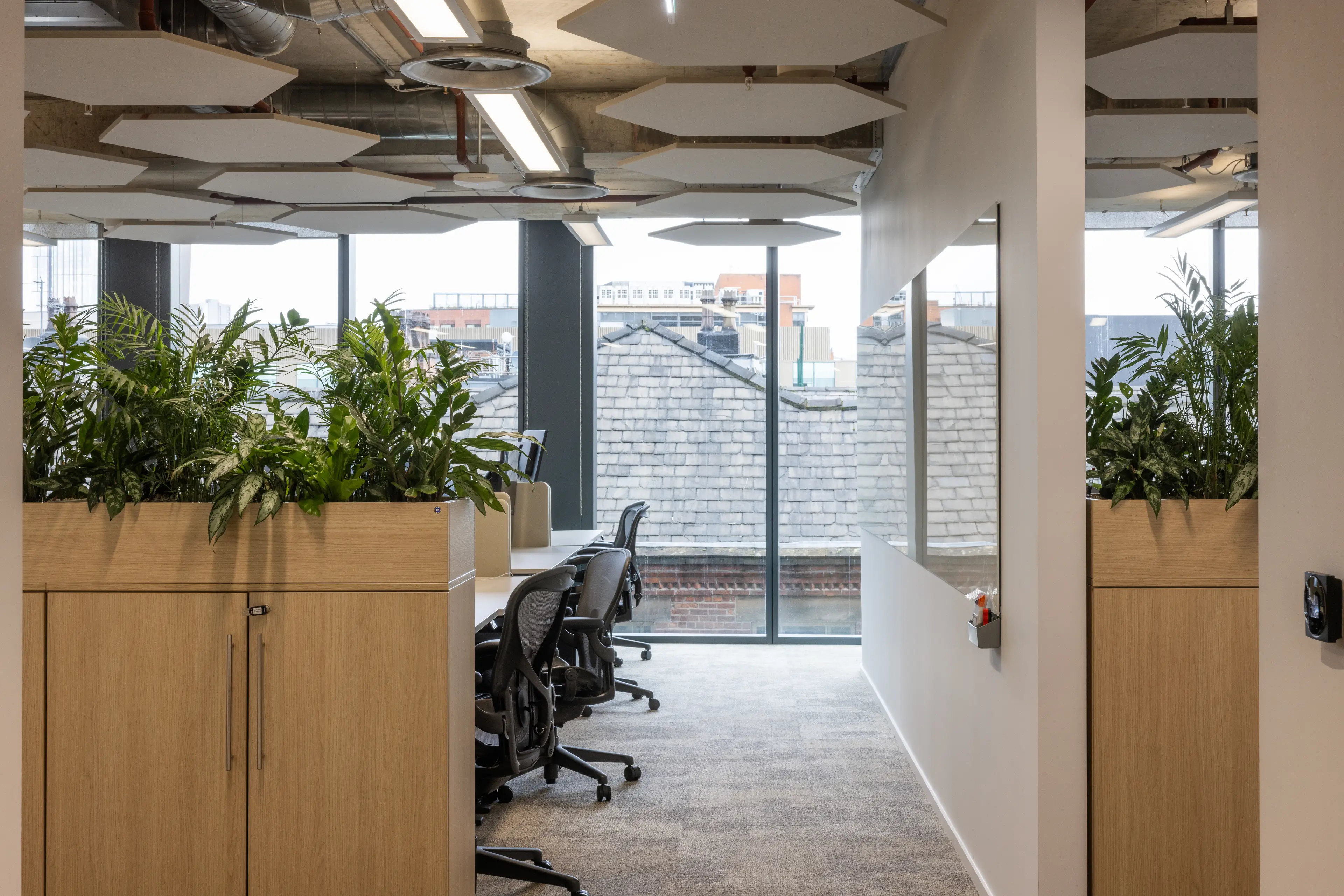 Looking through an office with planting in the foreground and a view out to slate roofs on the outside