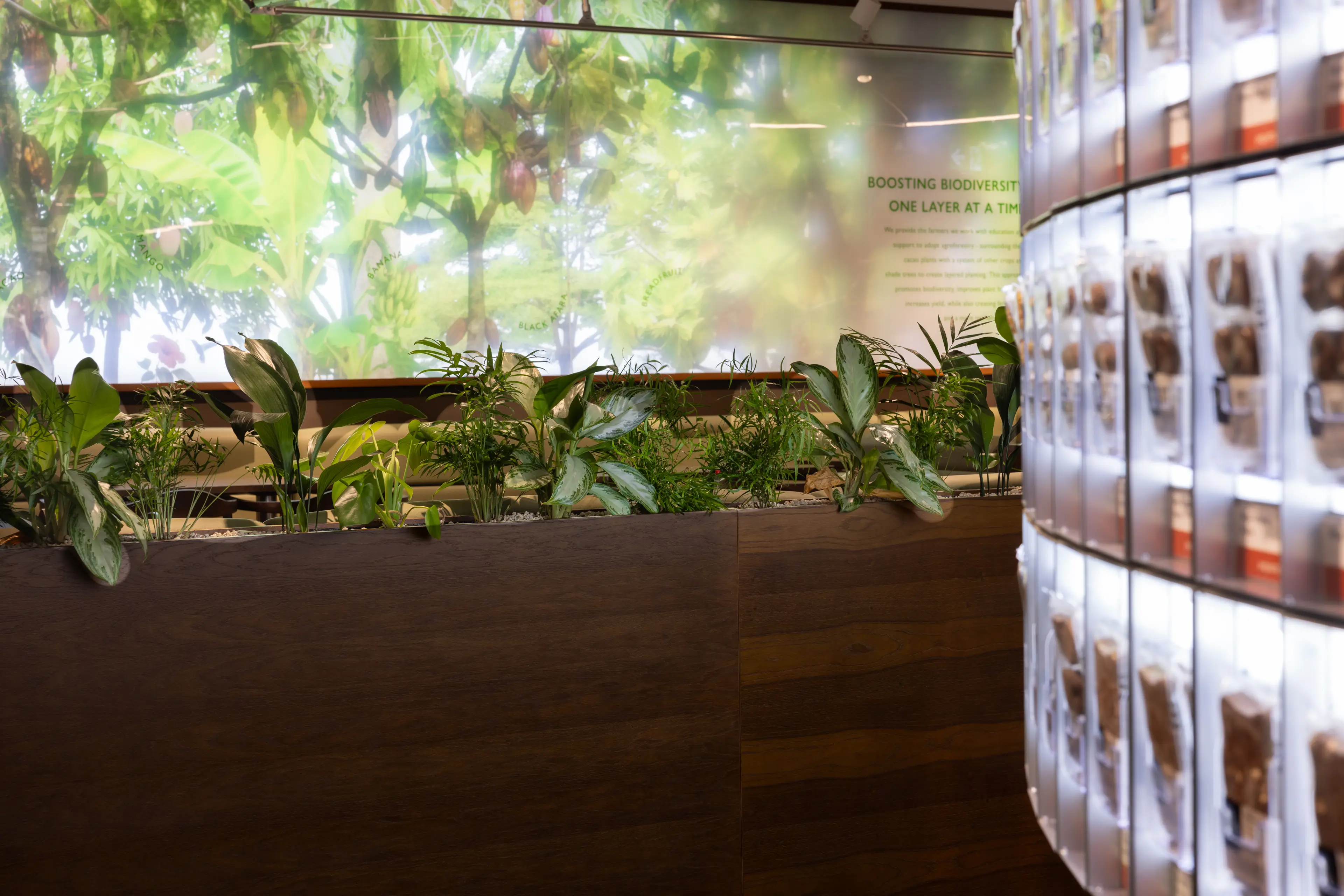 Furniture planters infront of blurred plant wall