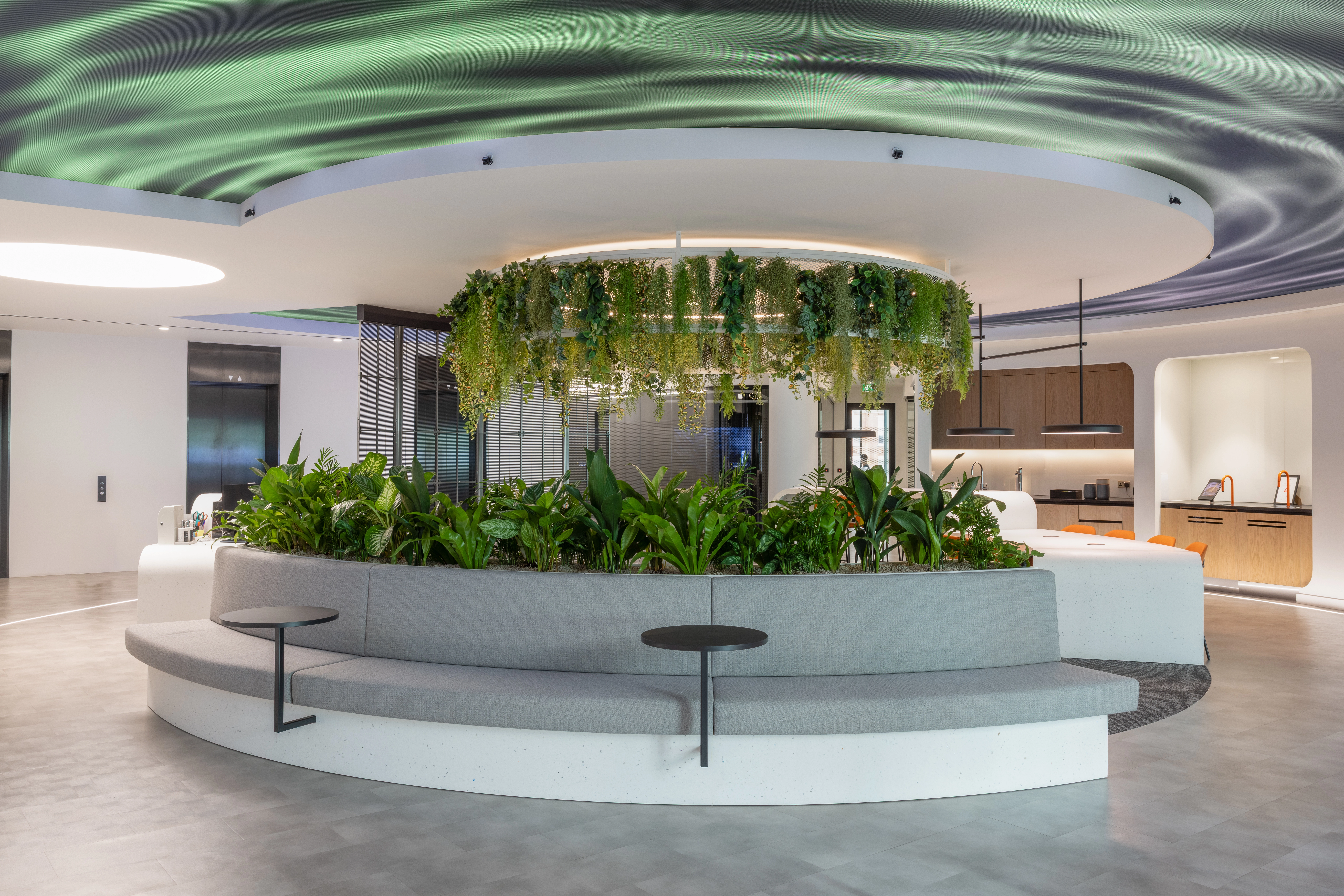 A light office breakout space with bench planting and hanging plants