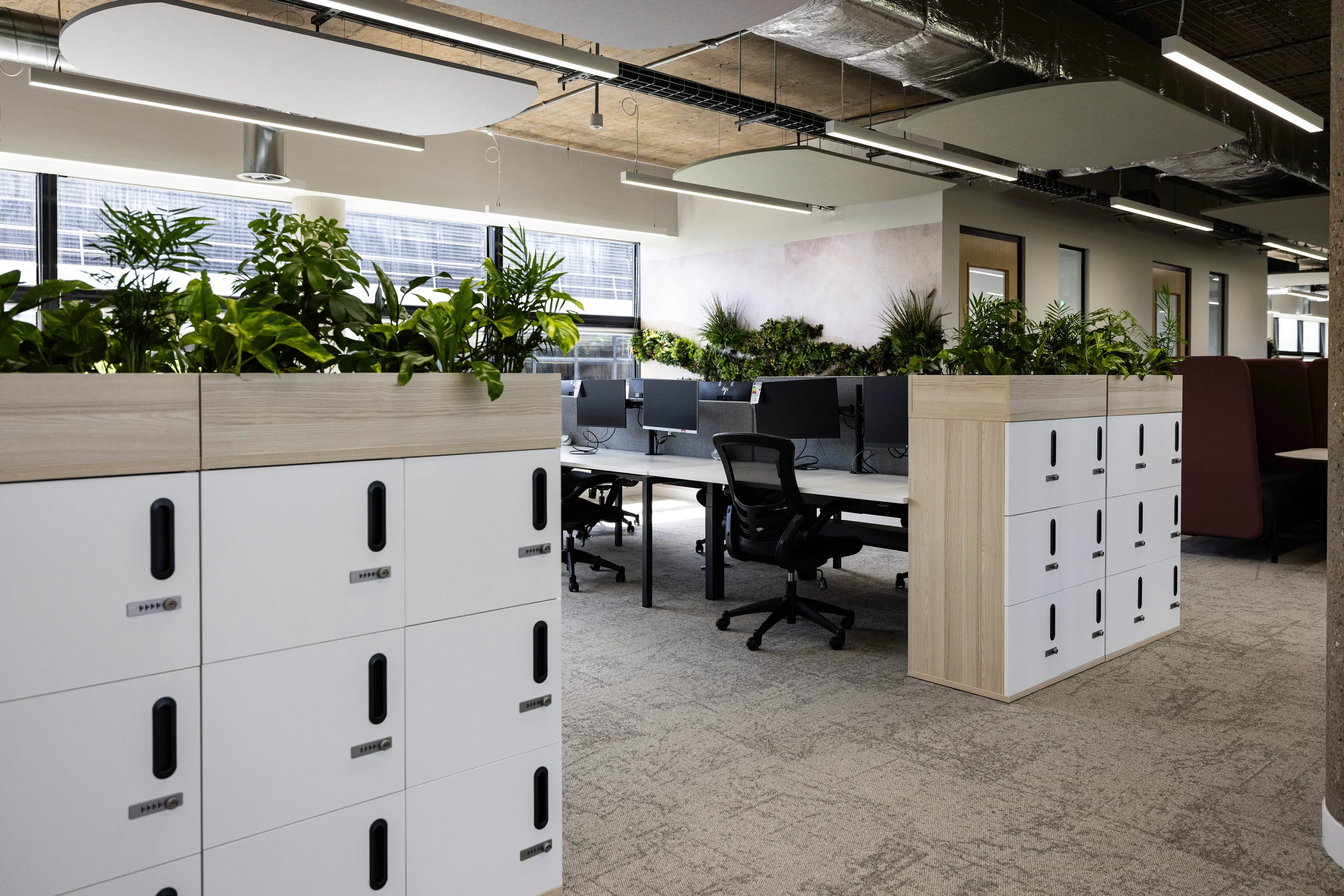 Modern office space with workstations, green plants, white lockers, and overhead lighting. Minimalist design and natural decor.