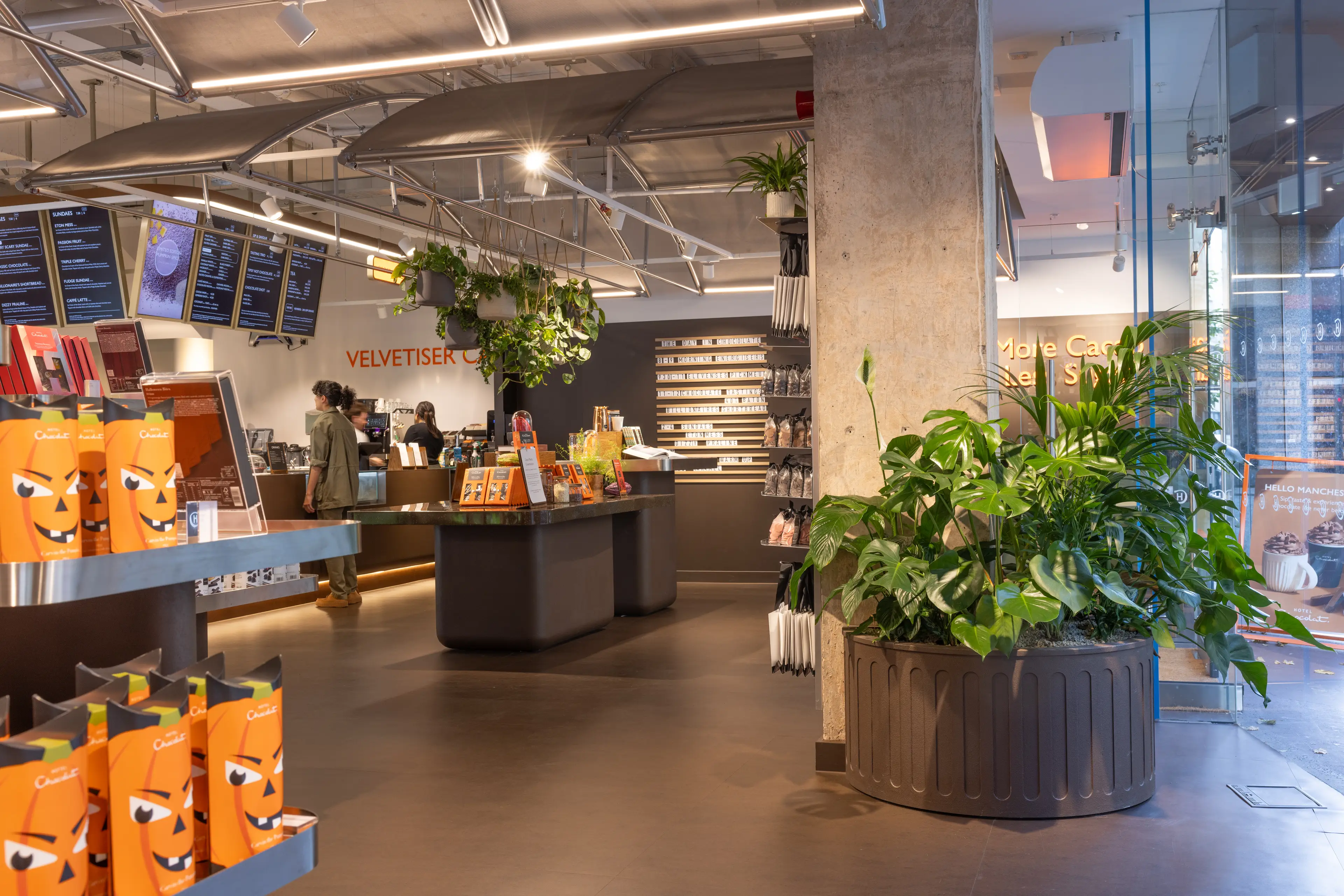 Standing and hanging plants in a chocolat shop
