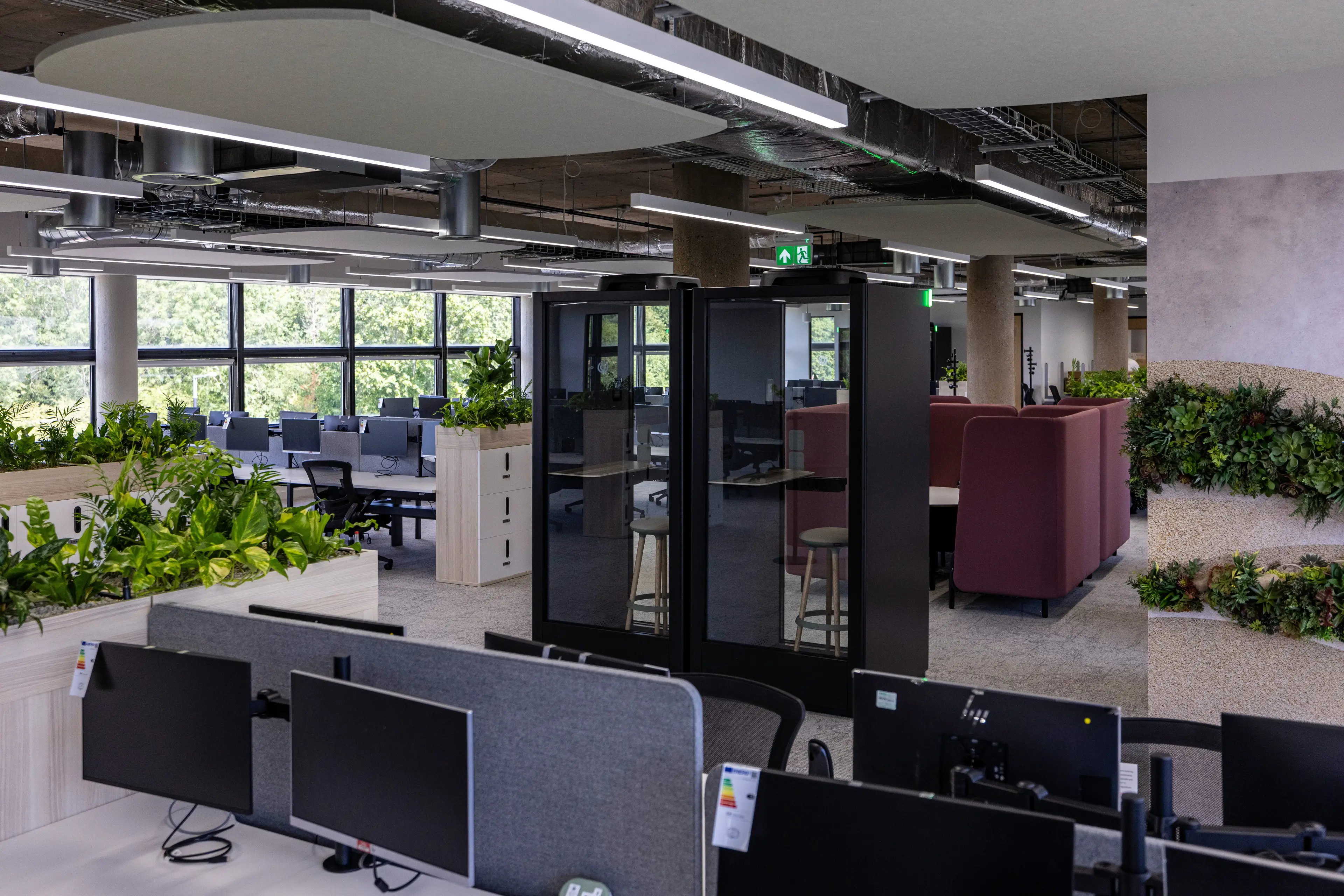 Modern office with open-plan workstations, plants, a private booth, and large windows providing natural light.