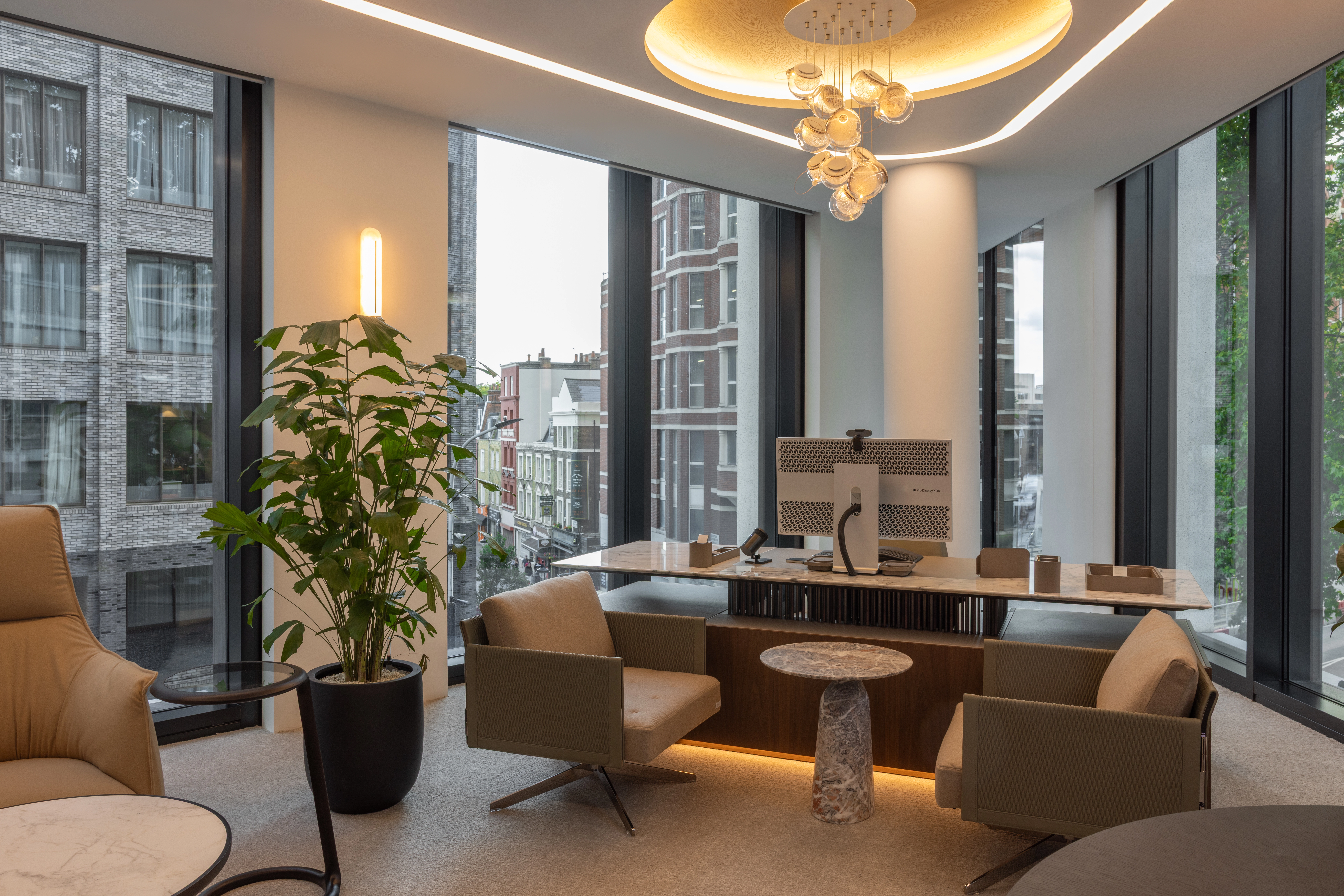 A softly lit office with a large floorstanding Caryota tree