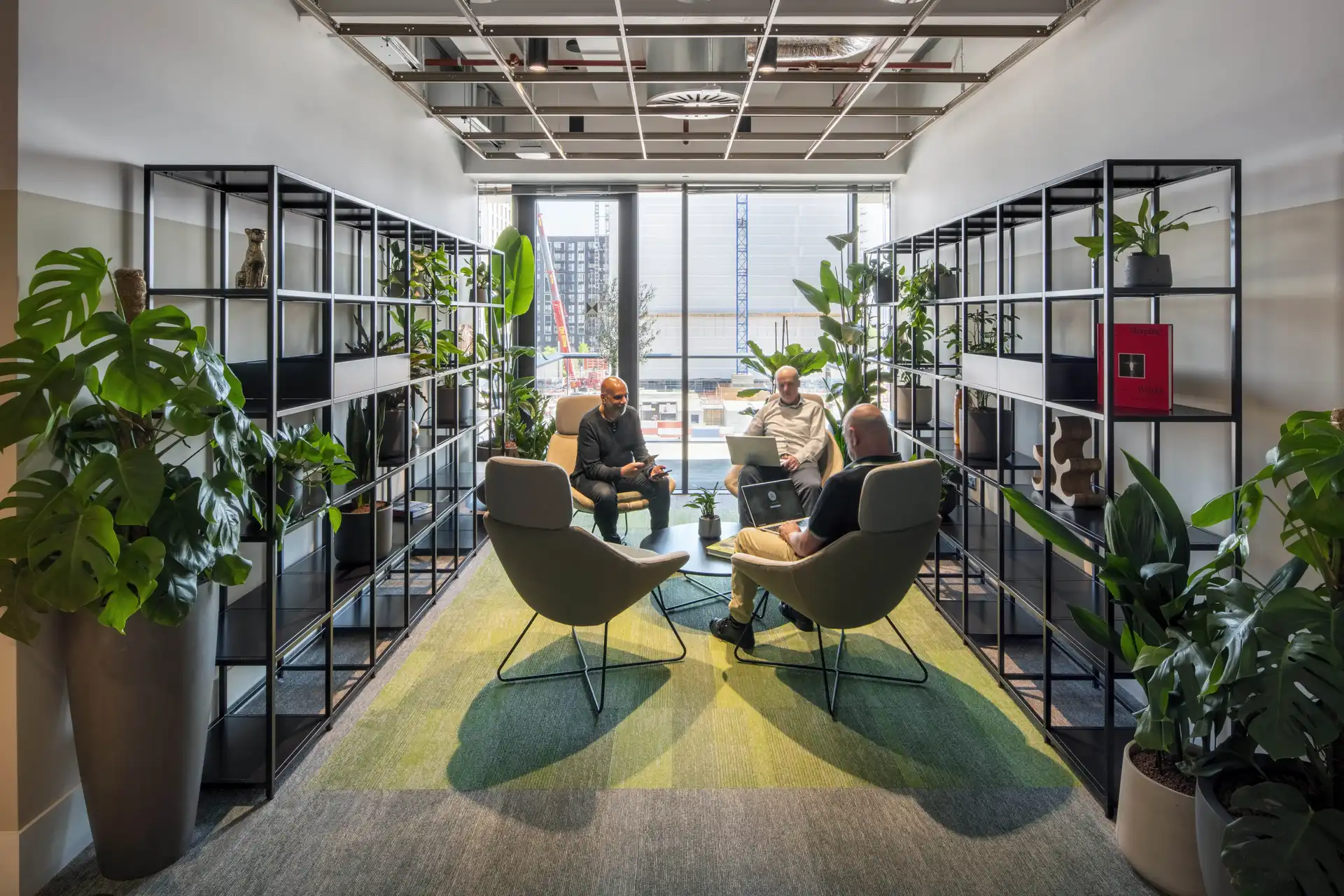 Background media image