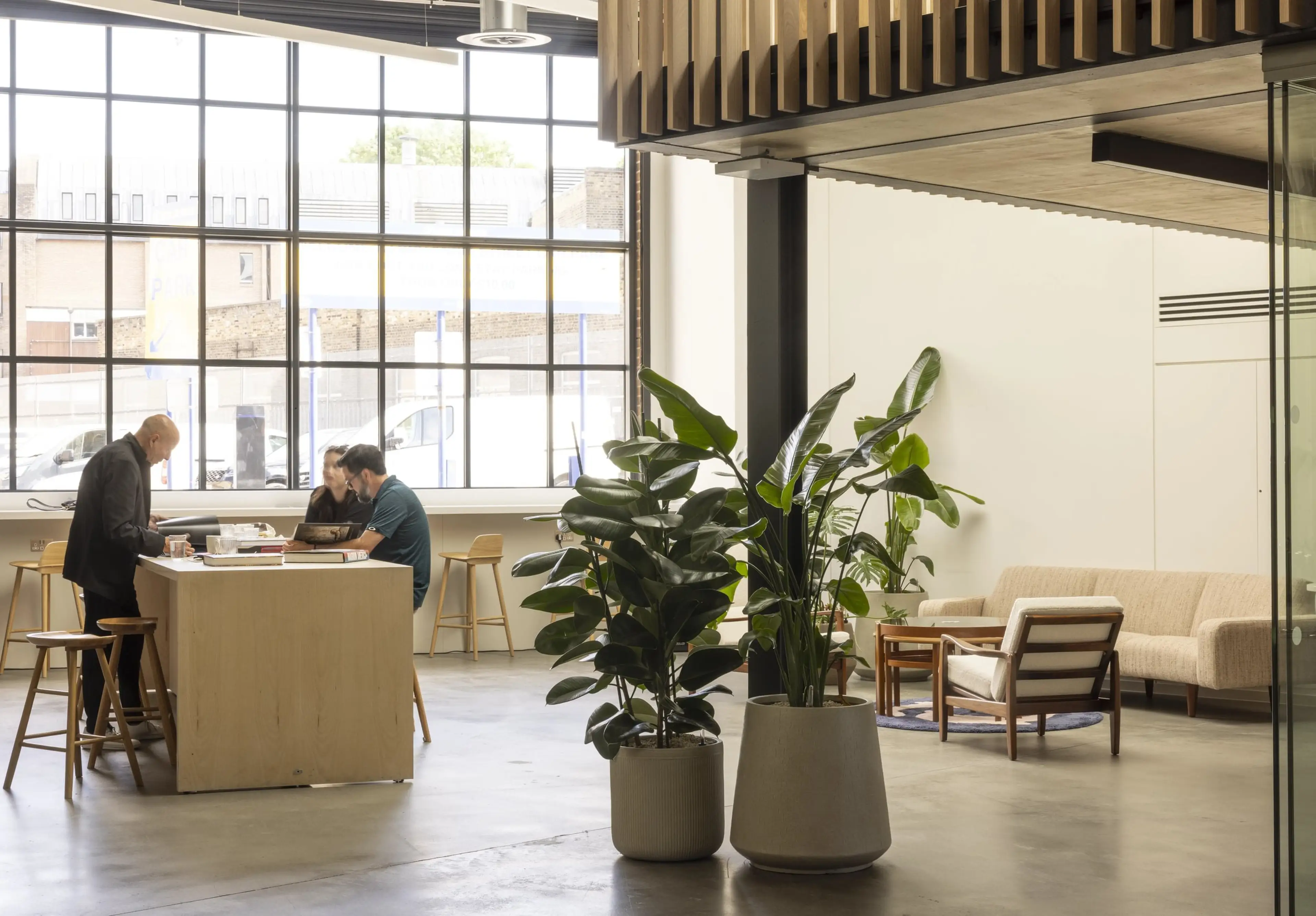 A group of people at a high desk on the left, cast in rich natural light, with floor standing office plants in the centre.