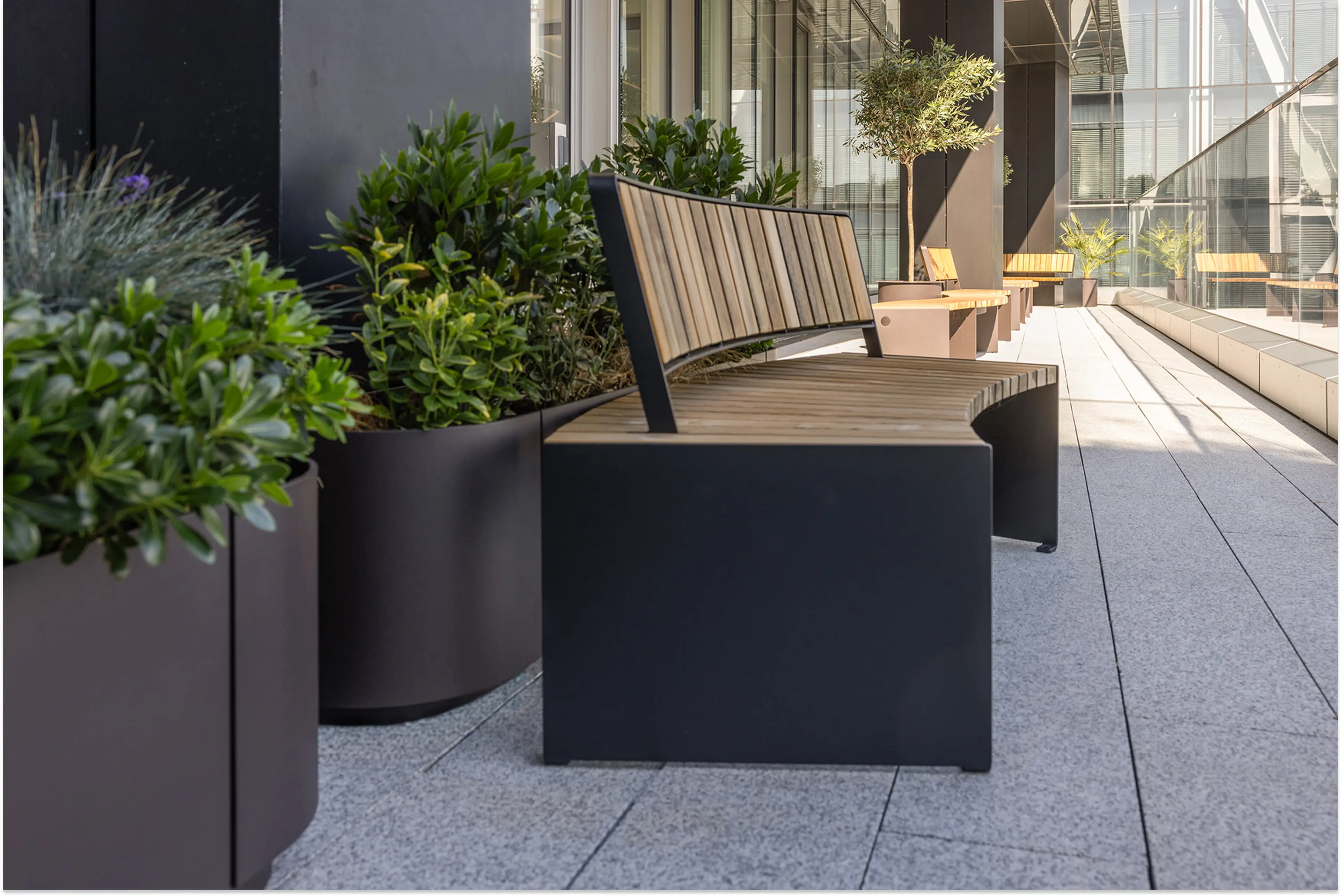 An outdoor terrace, with outdoor planters, and a sleek bench. An olive tree can be seen in the background