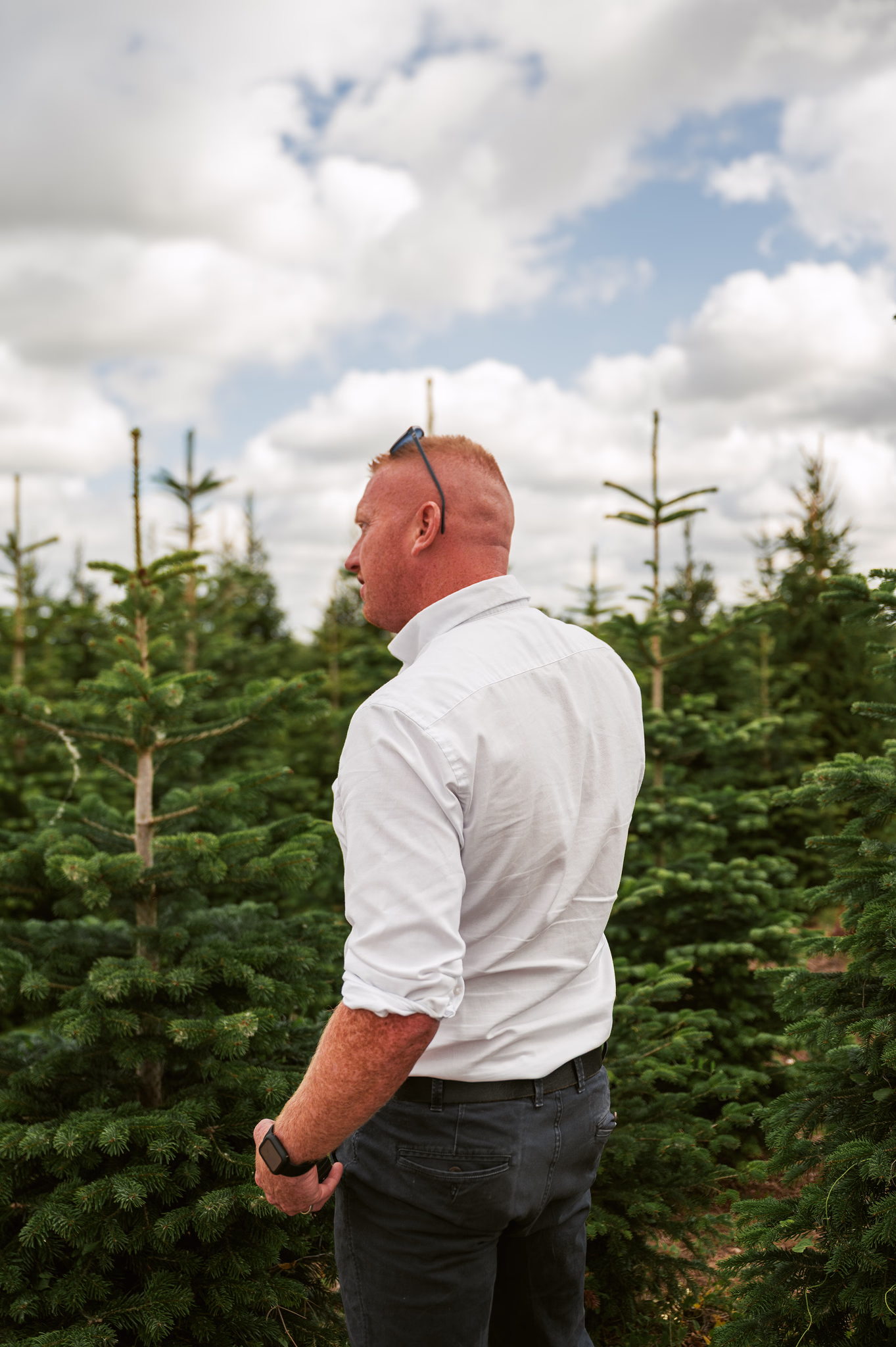 A man in the middle of a christmas tree farm