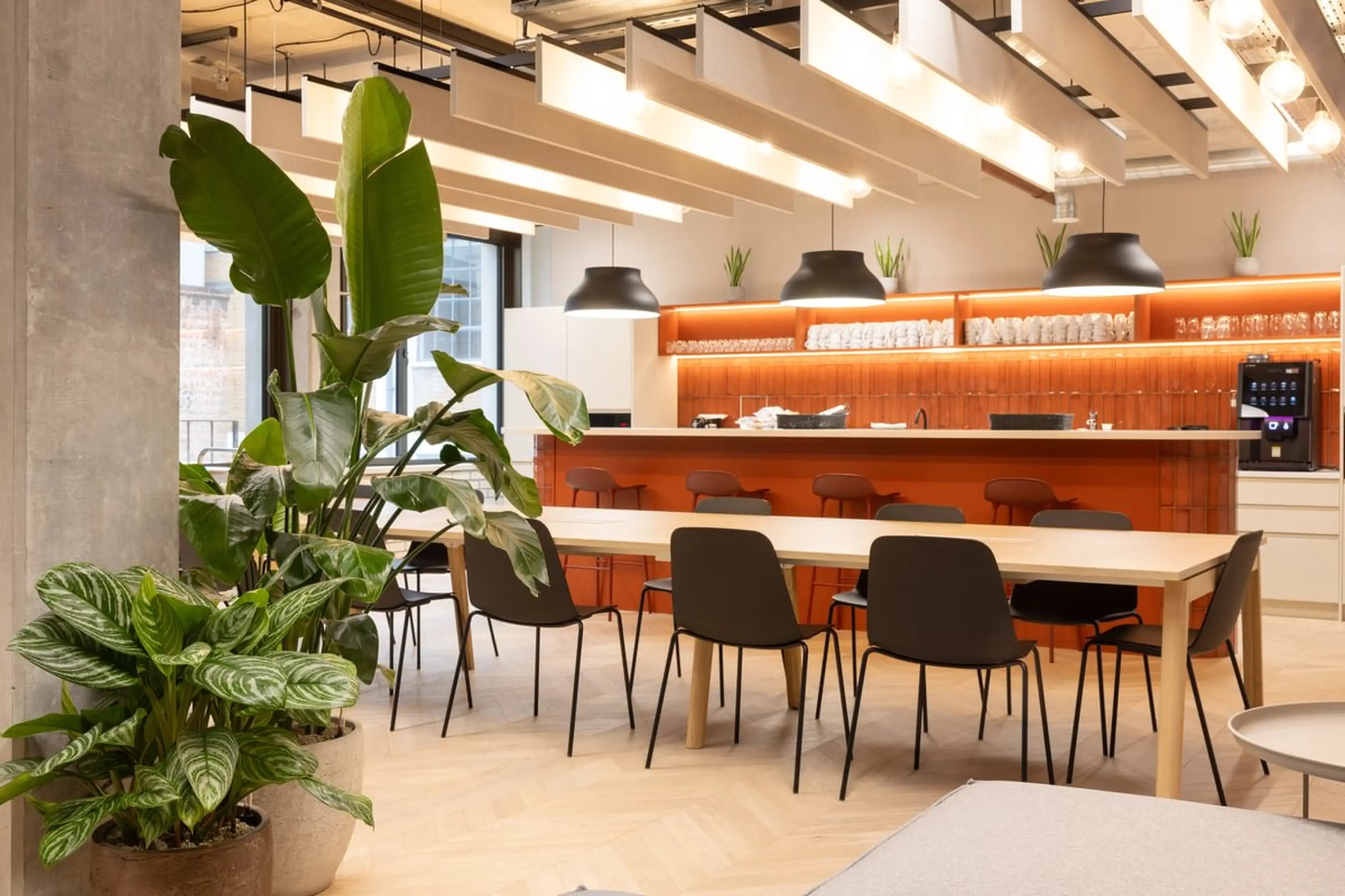 Communal workplace canteen with tall standing plants in the foreground